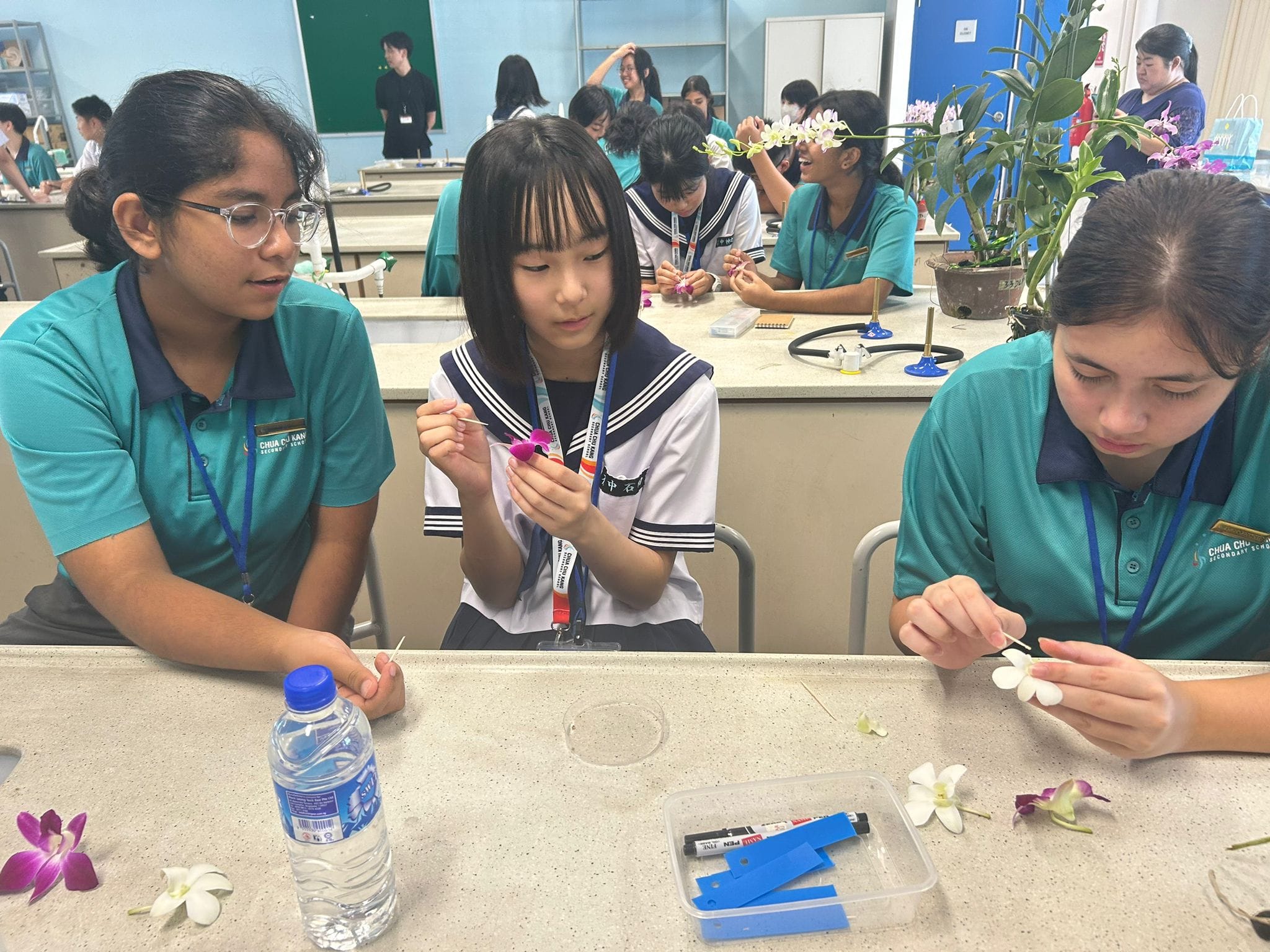 Three students in a classroom examine flowers on a lab table, with more students working in the background.