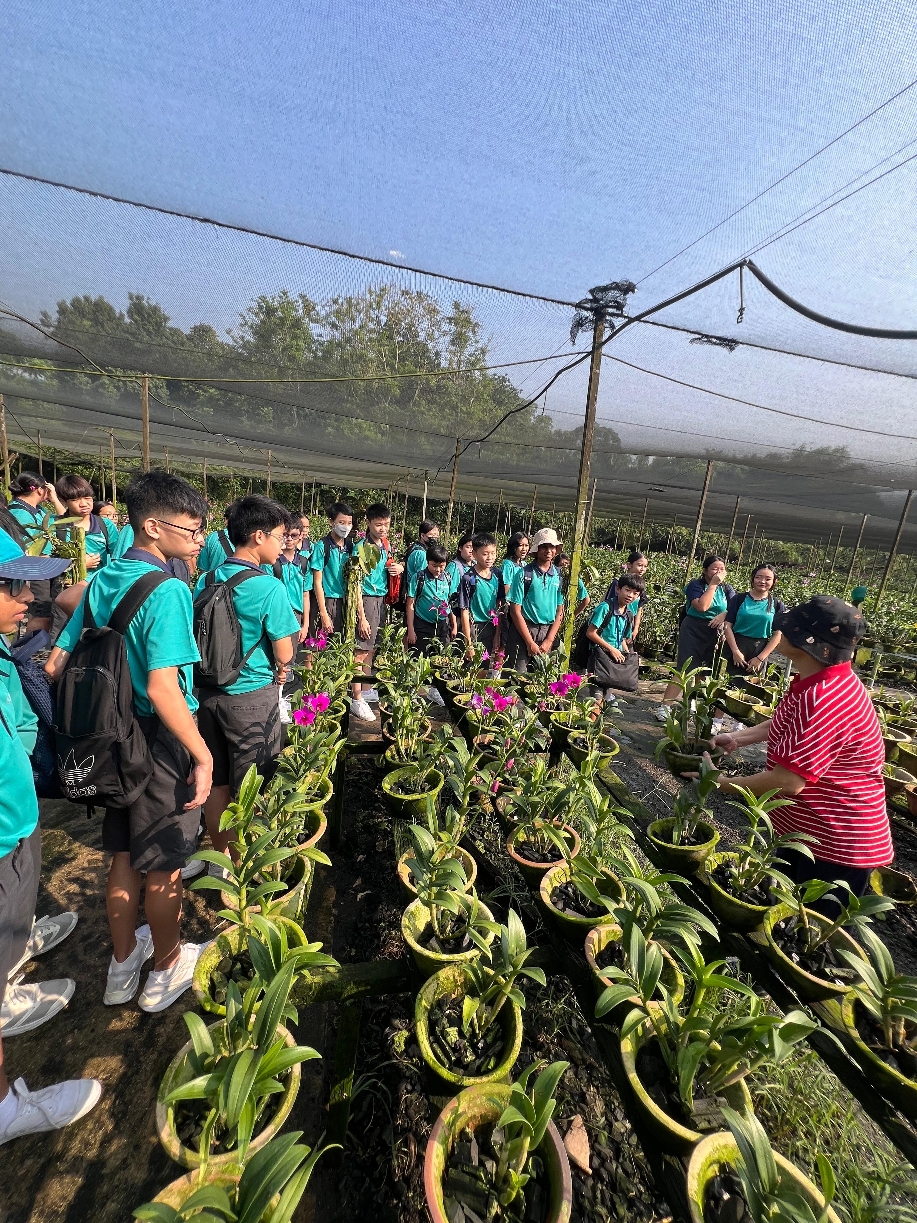 Students wander around pots of plants