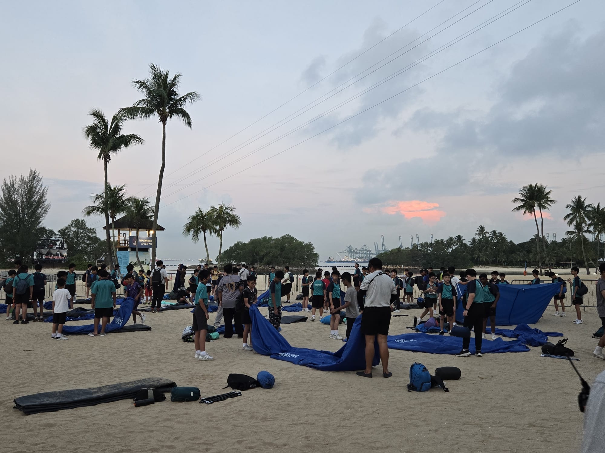 A large group of students in teal shirts set up blue tarps on a sandy beach at dusk with palm trees nearby.