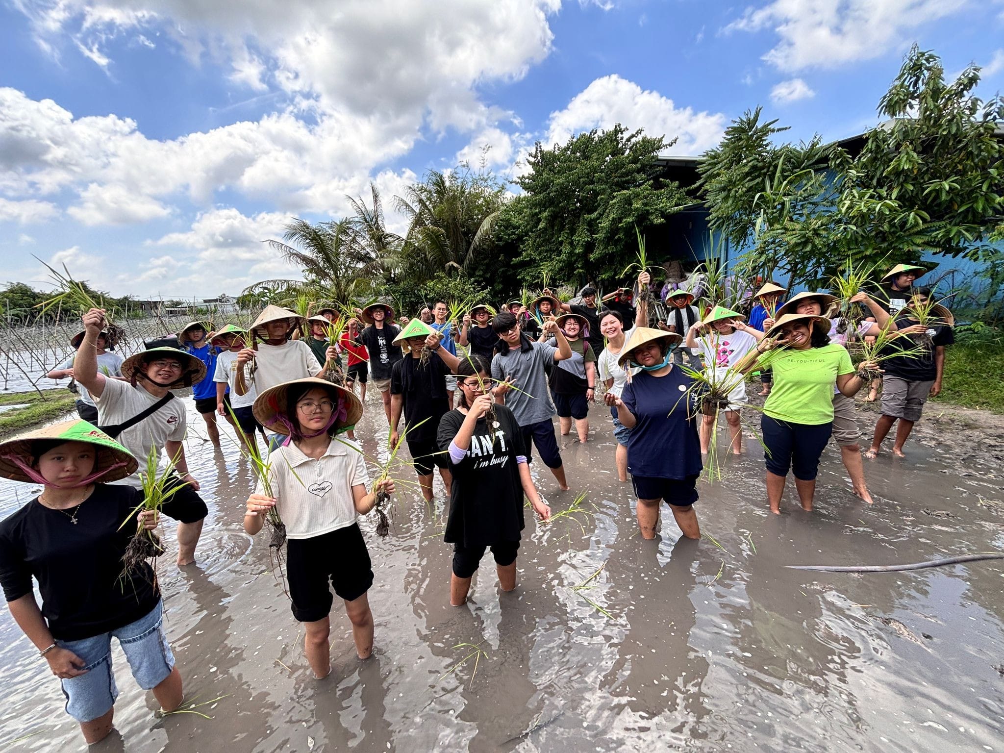 A group of people wearing conical hats standing in a padi field
