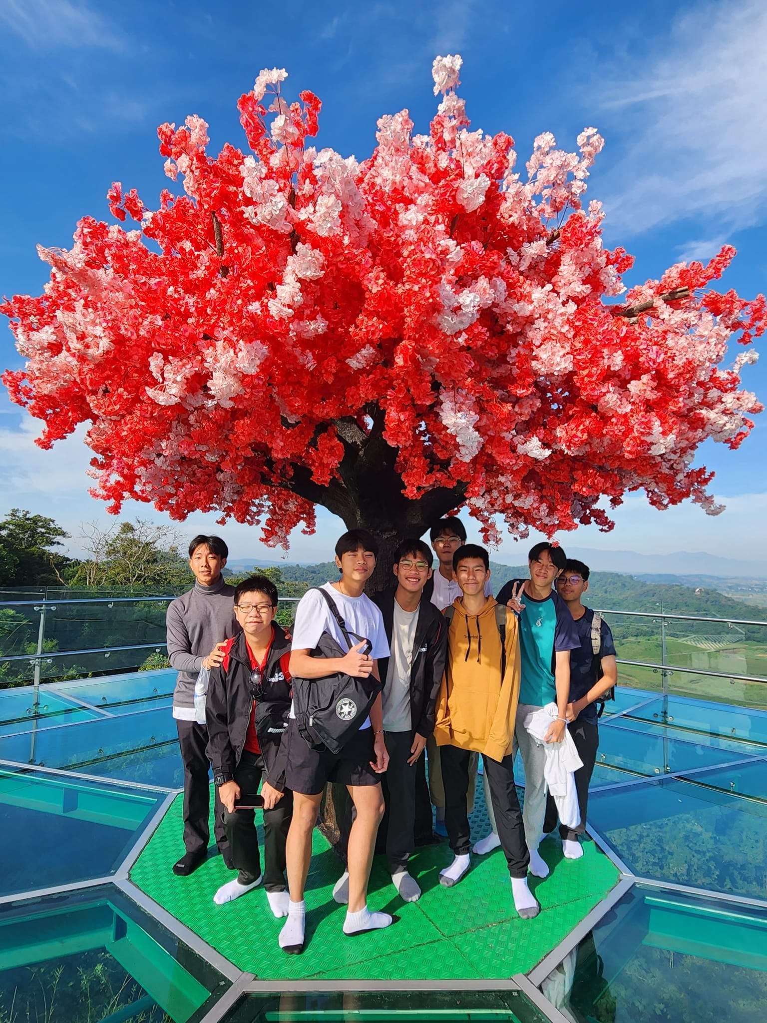 Students posing under a red leafed tree.