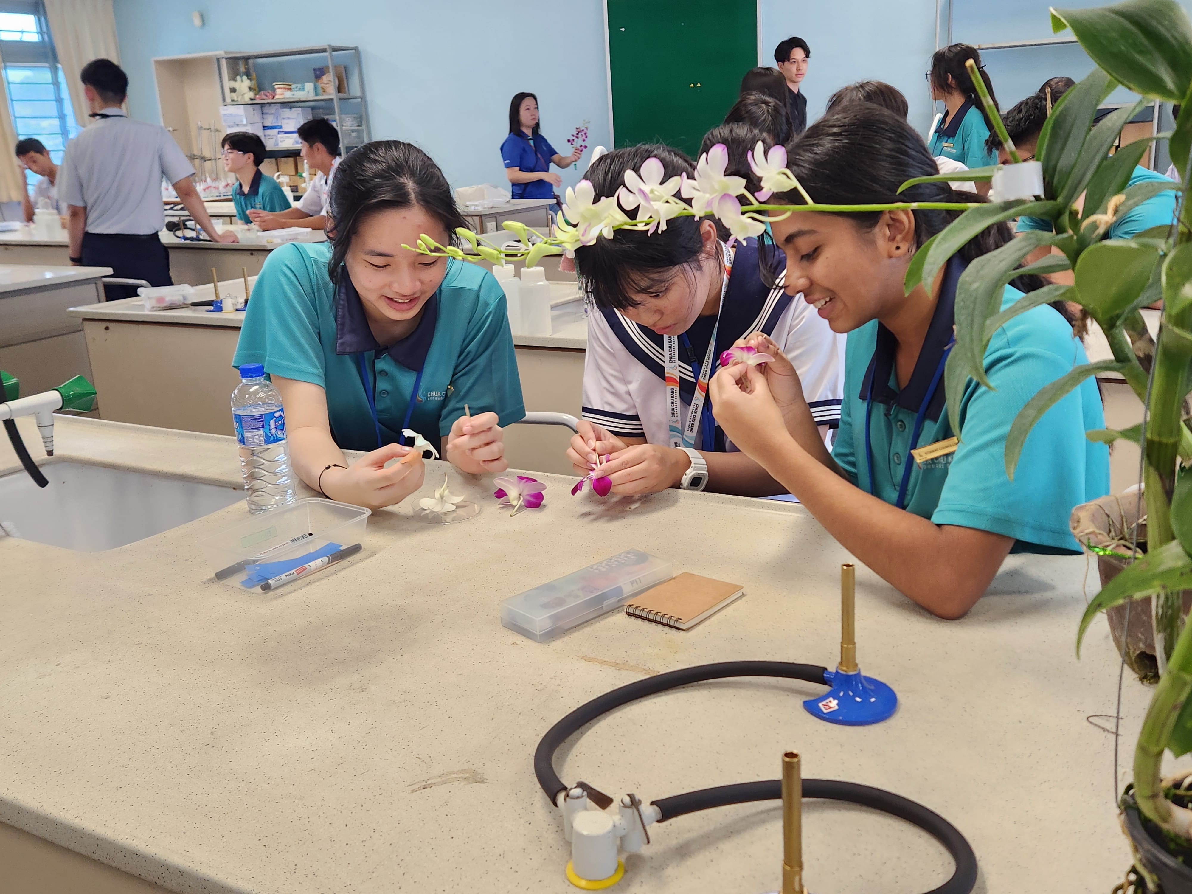 Three students in a school lab examine orchid flowers closely while classmates work in the background.