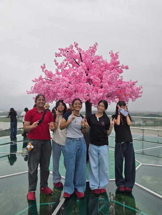 Five young people pose with peace signs in front of a pink artificial cherry blossom tree on a glass floor.