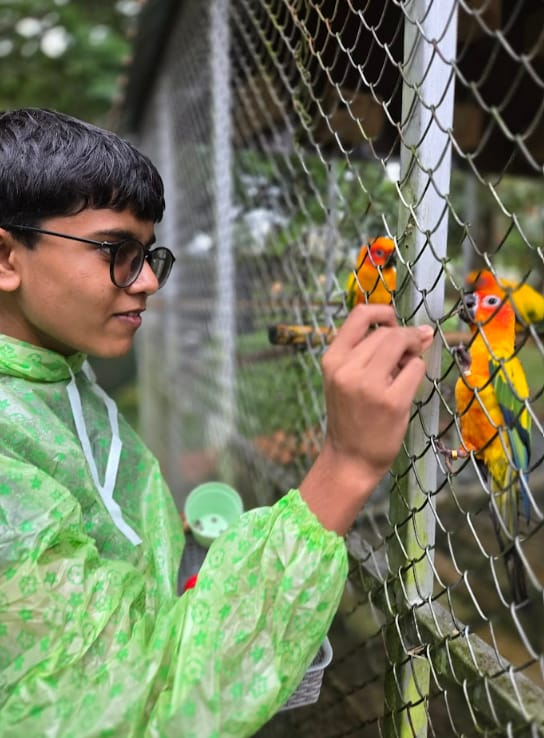 A boy in a green raincoat and glasses feeds orange and yellow parrots through a wire mesh fence.