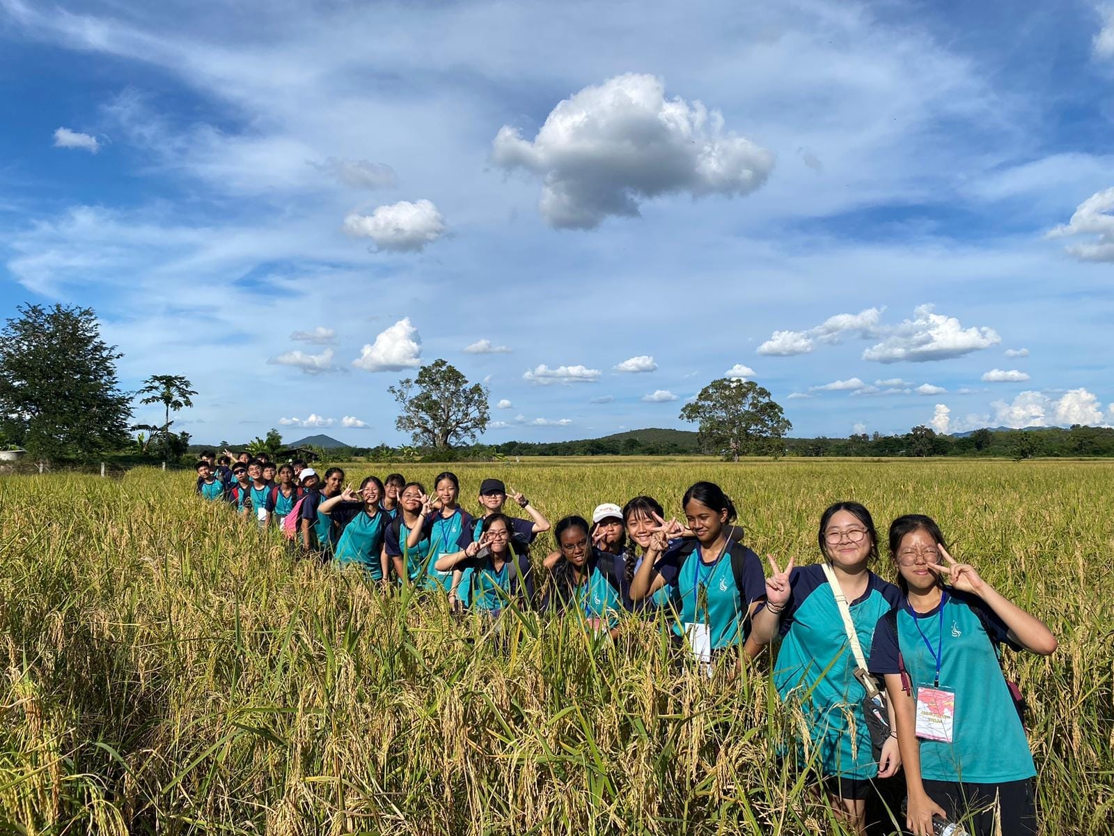 A long line of students in teal shirts pose with peace signs in a golden rice field under a blue cloudy sky.