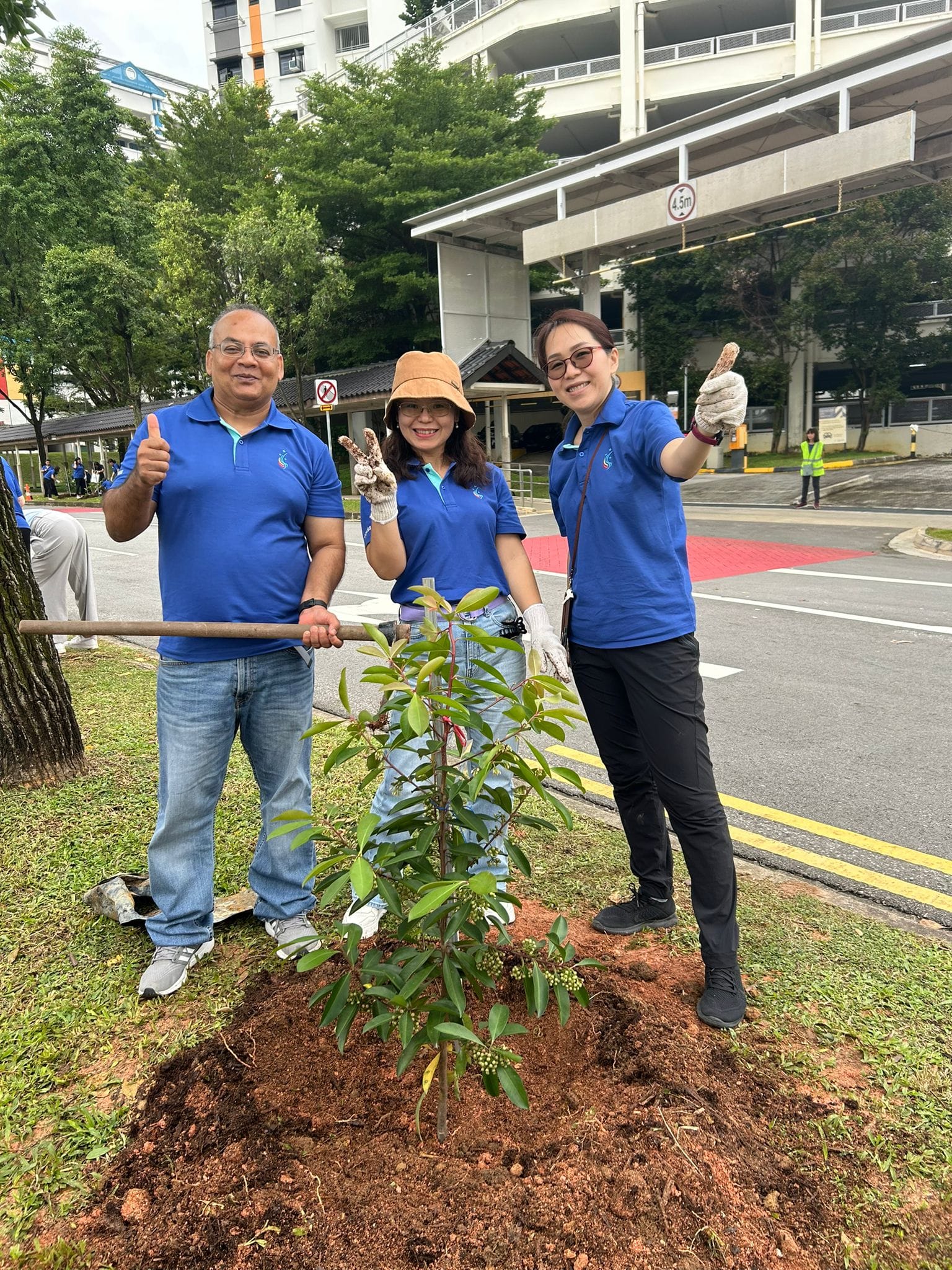 Three people in blue polo shirts smile and give thumbs up beside a freshly planted small tree on a roadside.