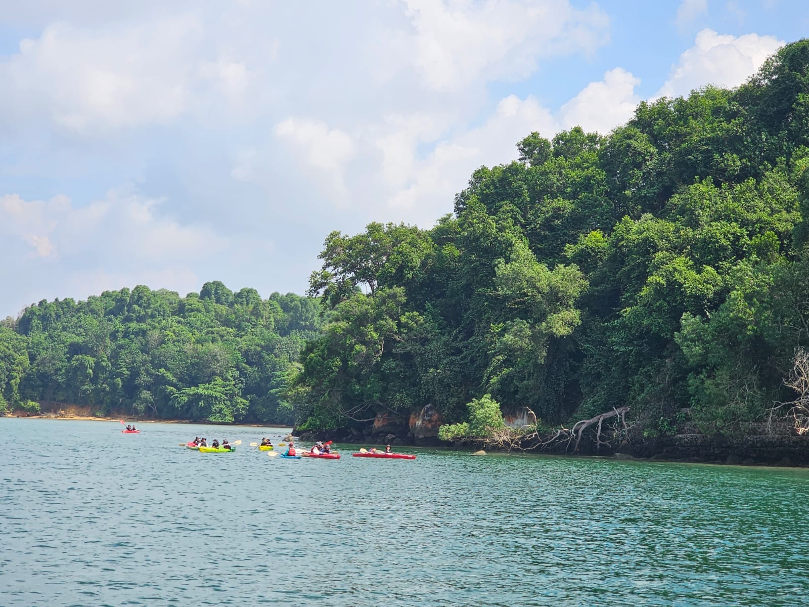 Several colorful kayaks with paddlers on calm green water beside a dense tree-covered rocky shoreline.