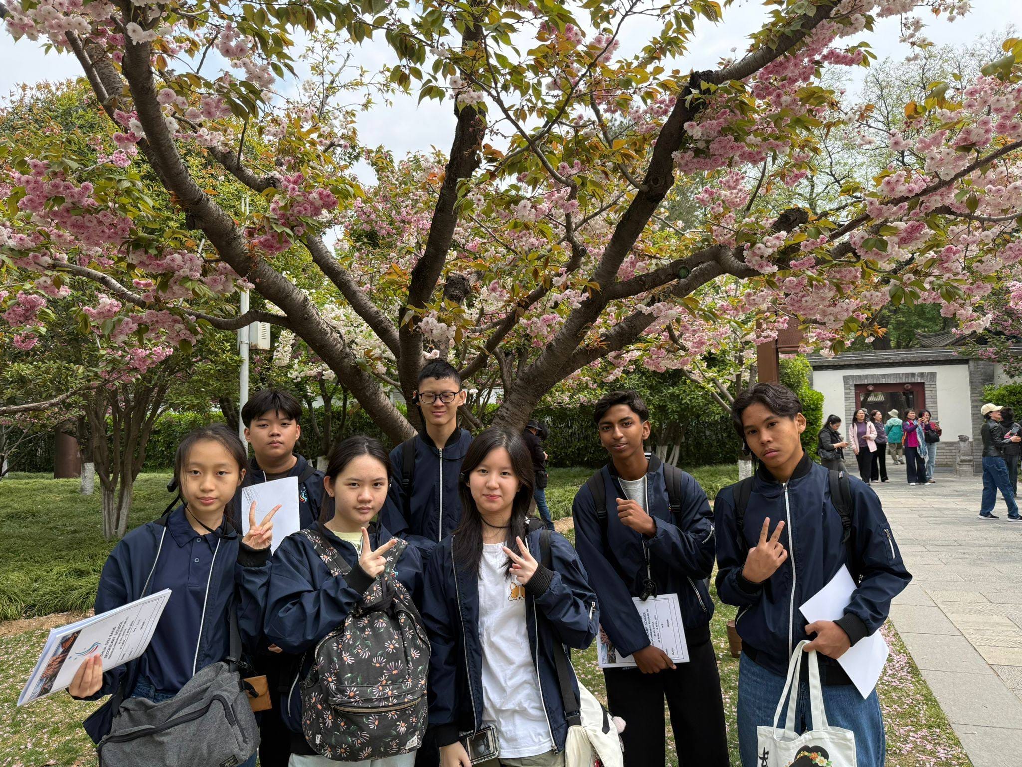 A group of people pose in front of a cherry blossom tree