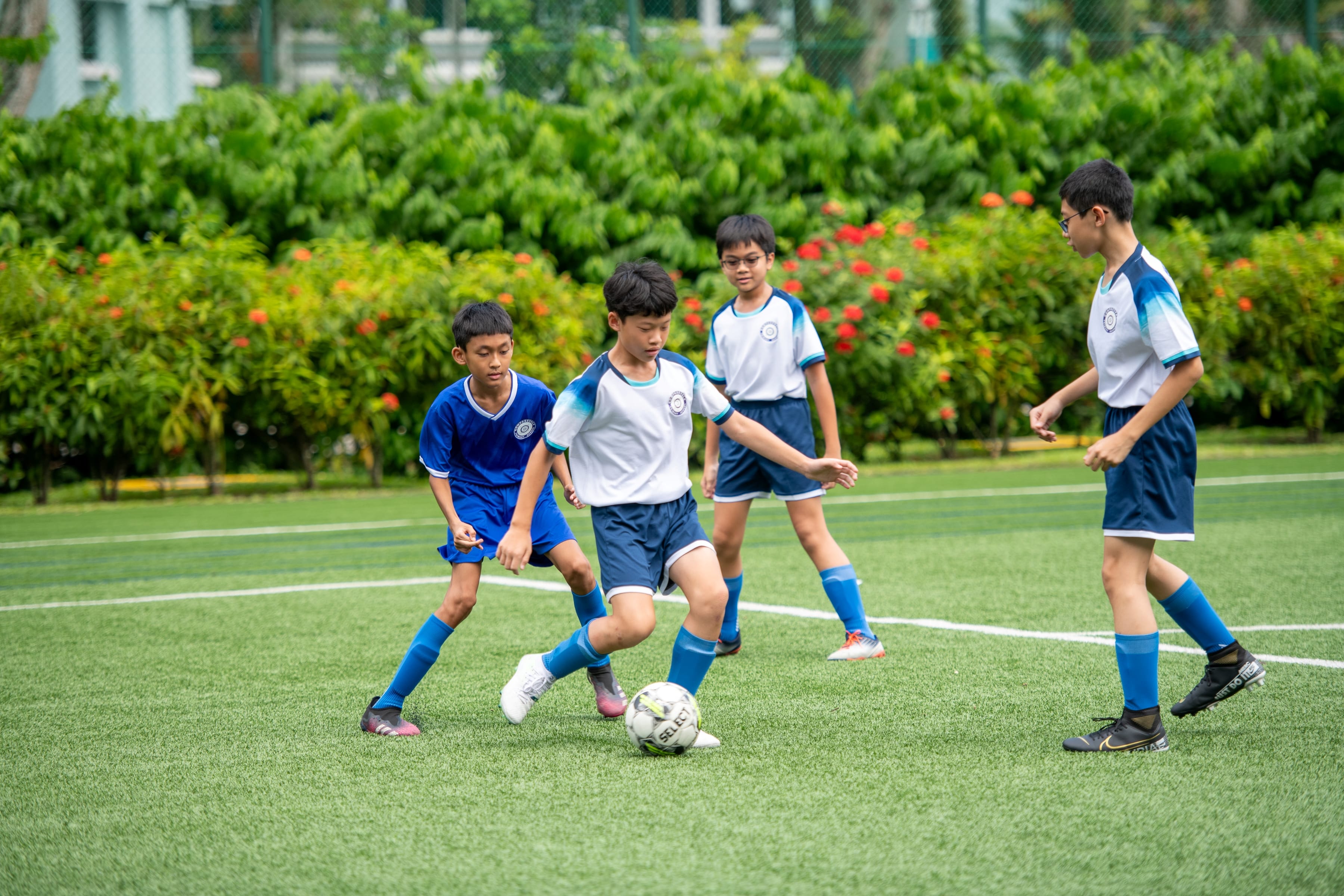 Four boys in blue and white uniforms play soccer on a green artificial turf field with flowering shrubs behind them.