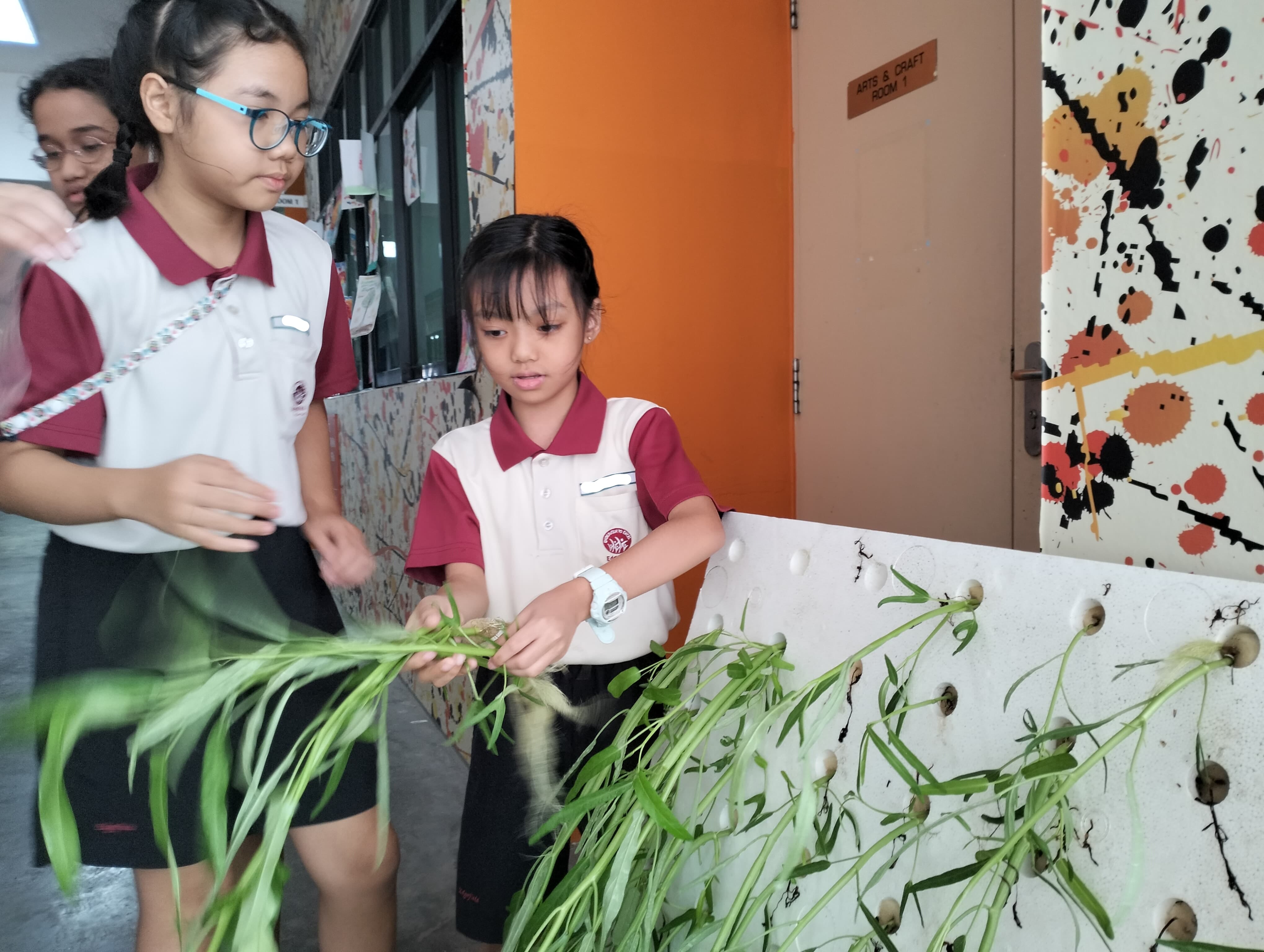 Two school girls in uniforms handle green plants near a white board outside an arts and craft room.