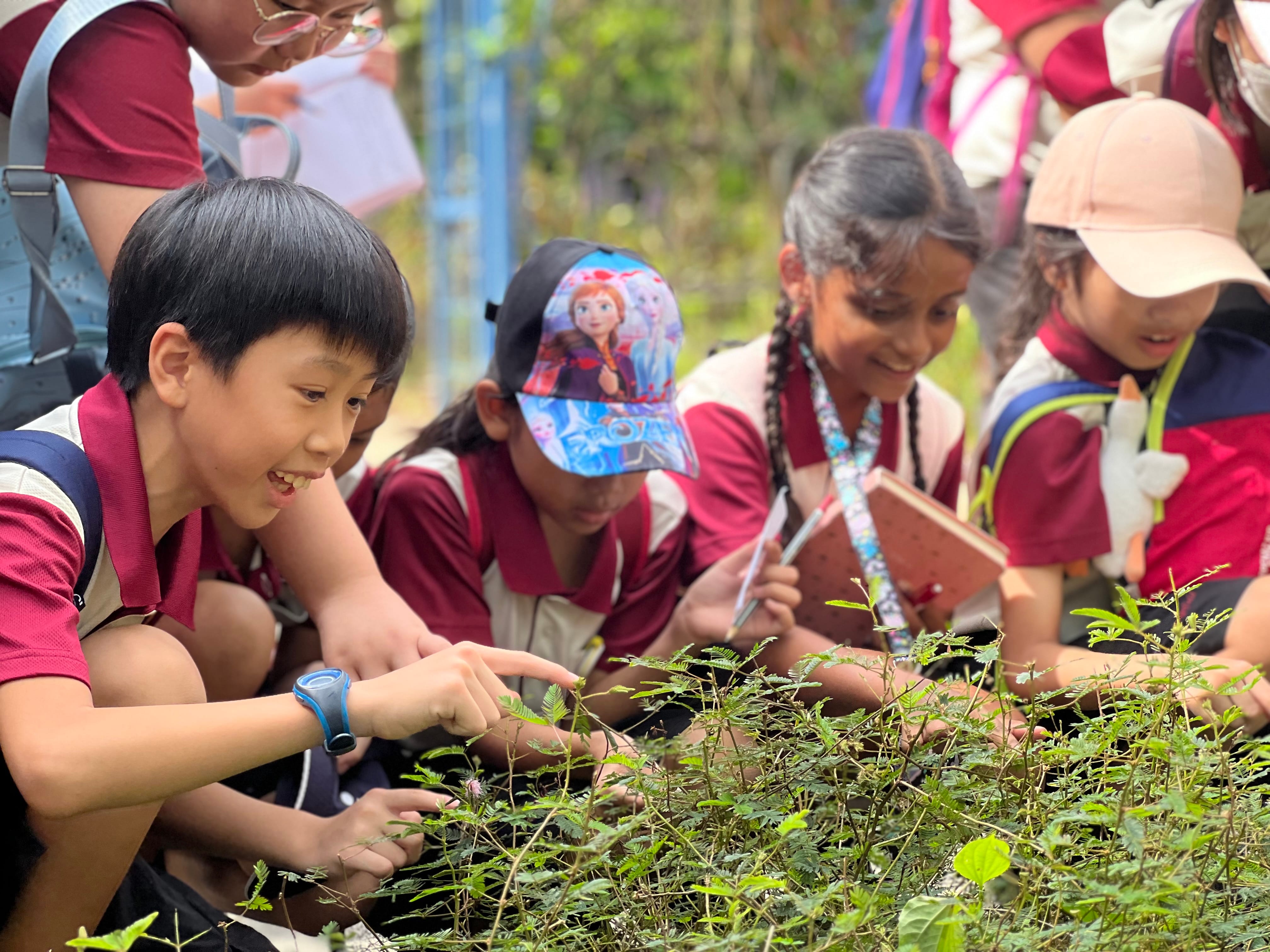 Young students in red uniforms crouch together outdoors, smiling and touching small green plants during a nature lesson.