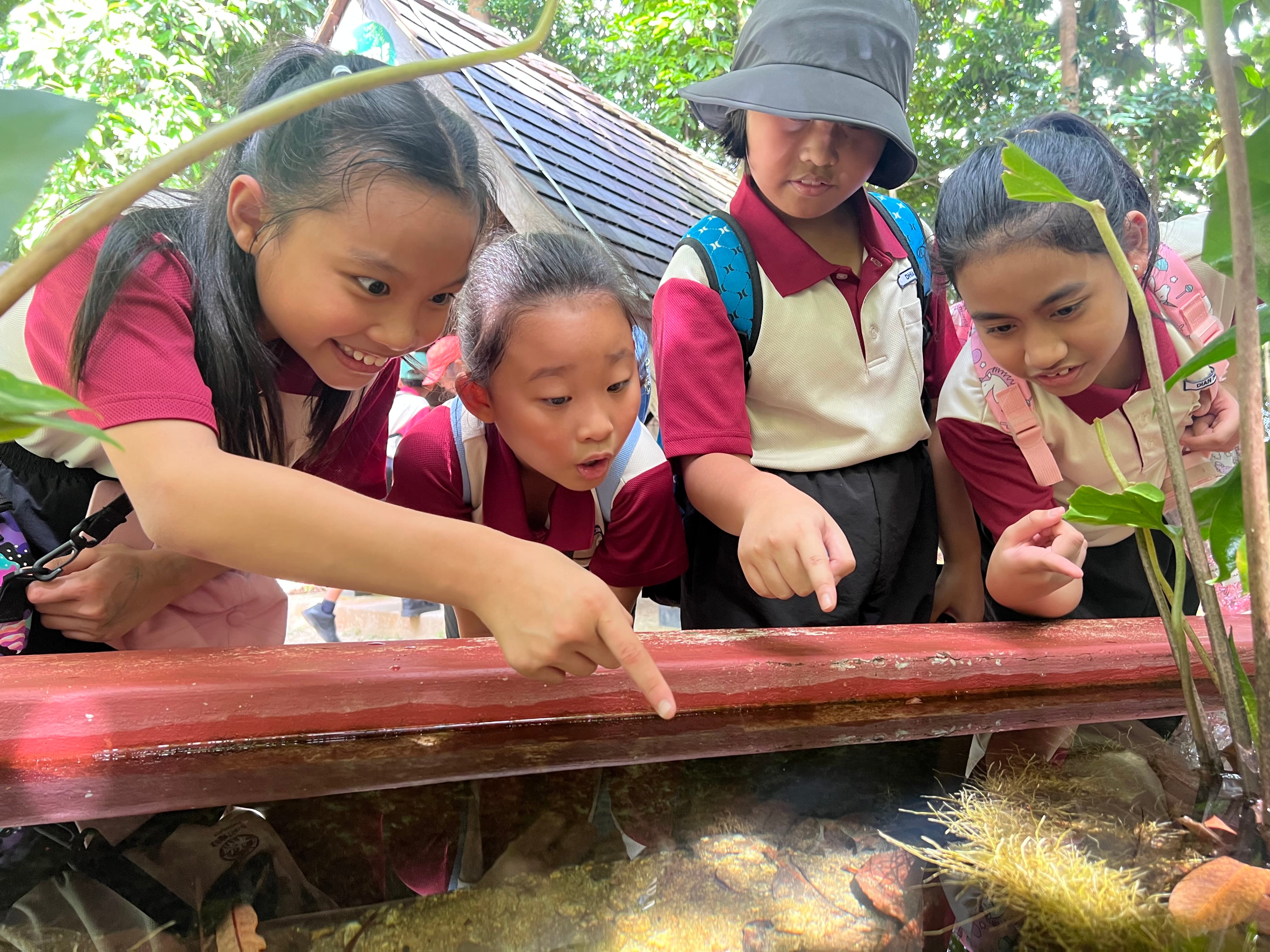 Four children in red school uniforms lean over a wooden railing, pointing and looking curiously at something below.