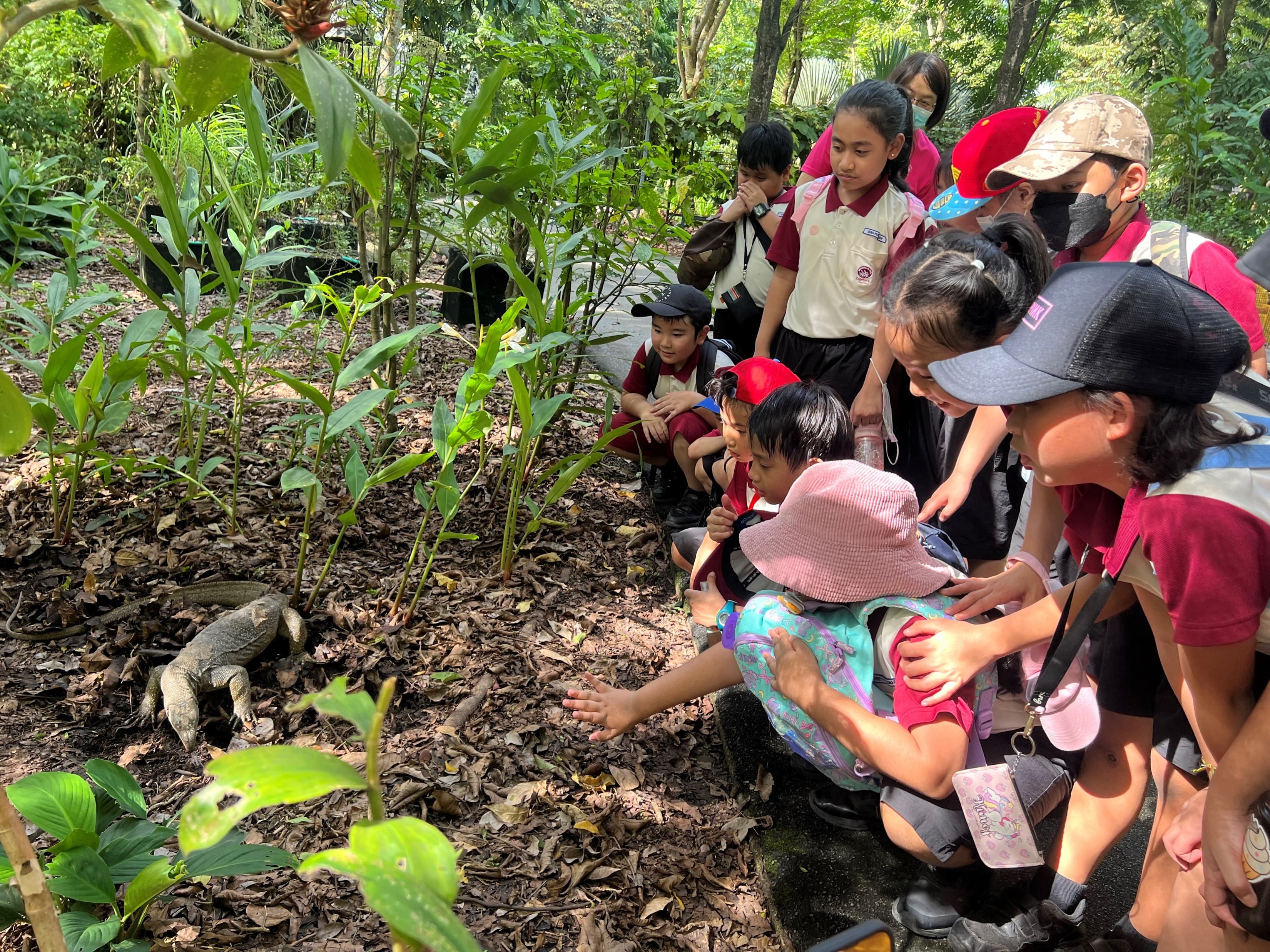Children and adults crouch closely to observe a monitor lizard on a leaf-covered forest floor.