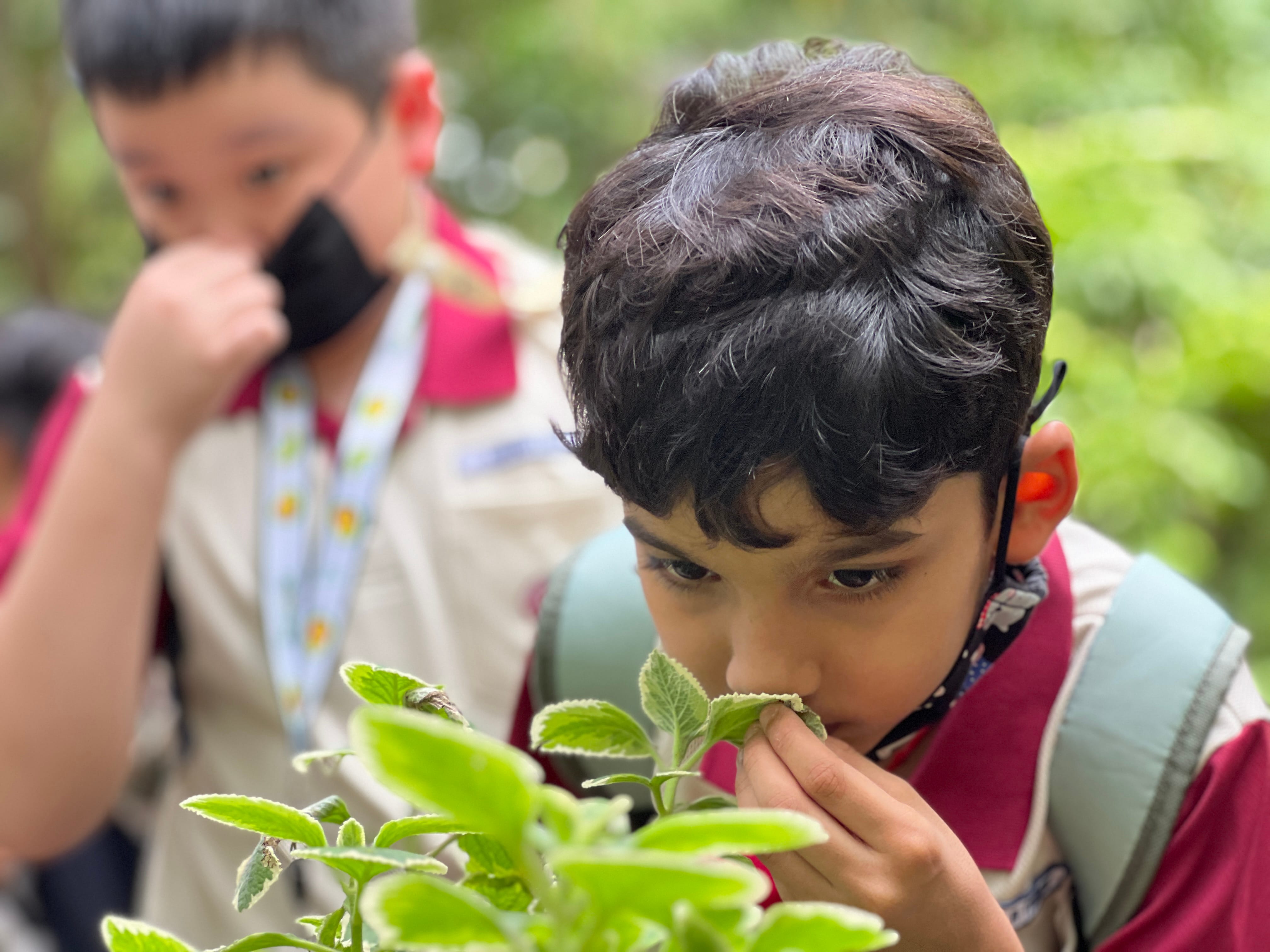 A boy in a scout uniform smells a green plant leaf closely, with another masked scout blurred in the background.
