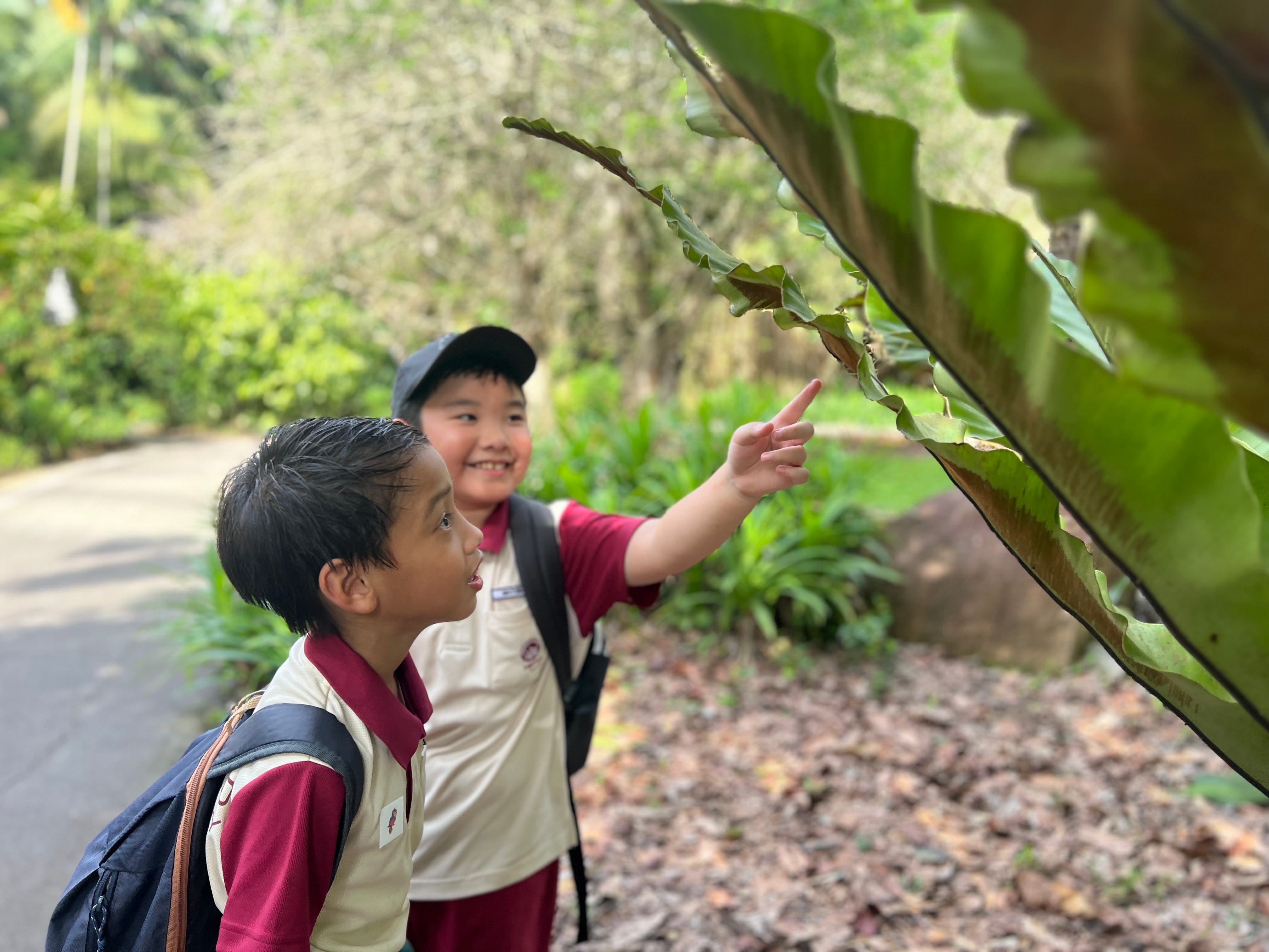 Two young boys in school uniforms examining a large green leaf on a nature trail, one pointing at it with curiosity.