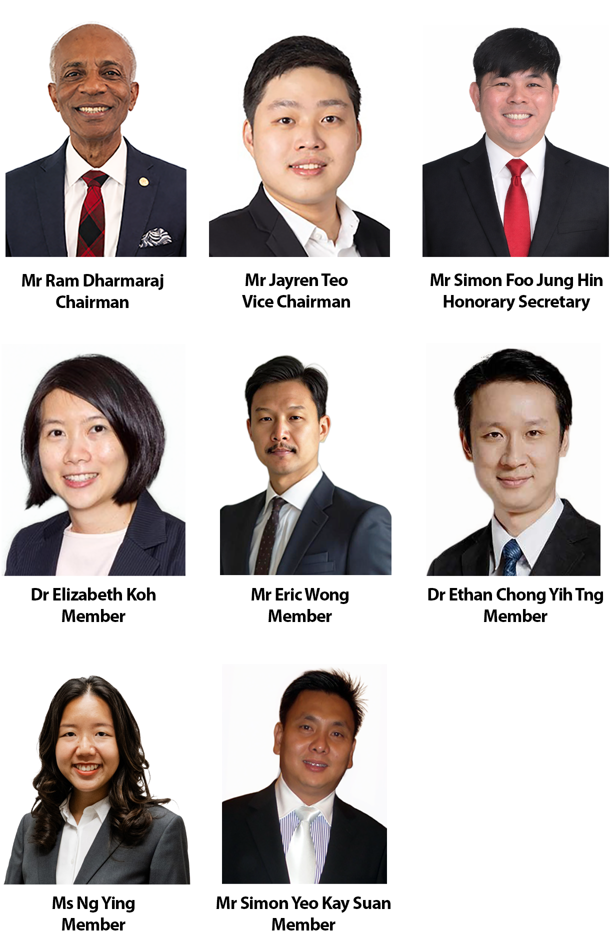 Eight professional headshots of committee members including a Chairman, Vice Chairman, Honorary Secretary, and five Members.