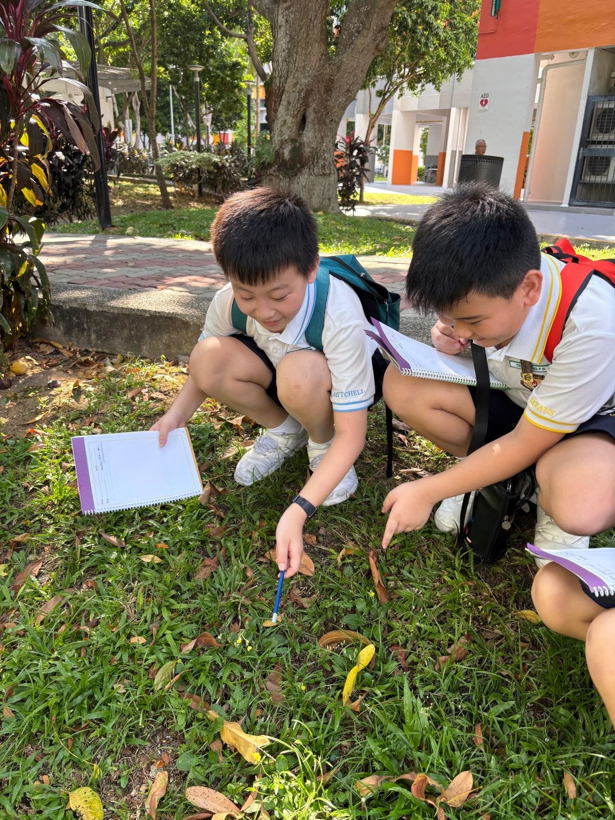 Two primary school students in white uniforms crouch on a grassy patch outdoors, examining something on the ground. One student points at it with a pencil while the other takes notes in a spiral-bound workbook.