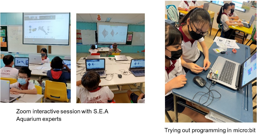 Students in masks use laptops during a Zoom session and try micro:bit programming in a classroom.