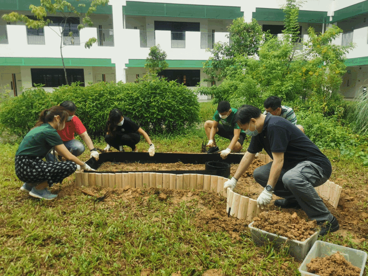 Five masked people wearing gloves build a raised garden bed with wooden borders outdoors near a white building.