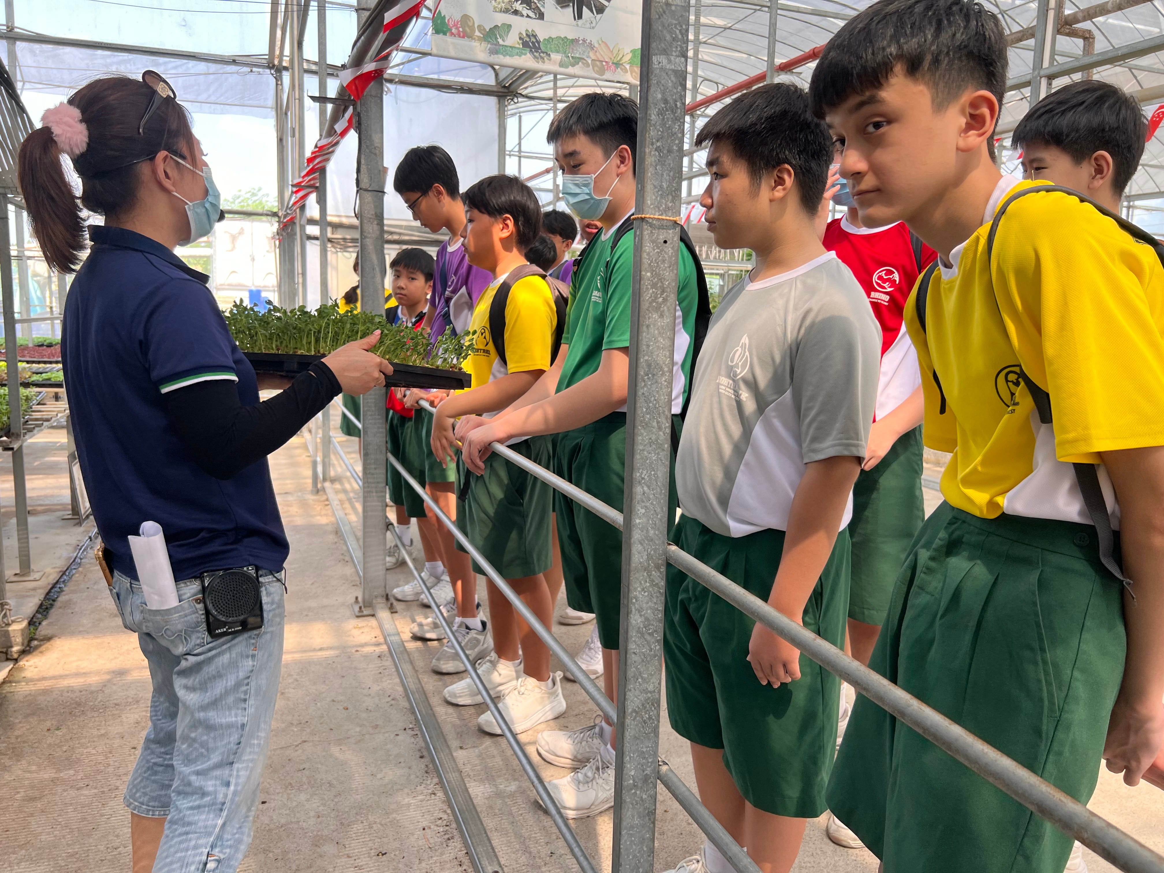 A woman holds a tray of seedlings while showing them to a group of school children inside a greenhouse.