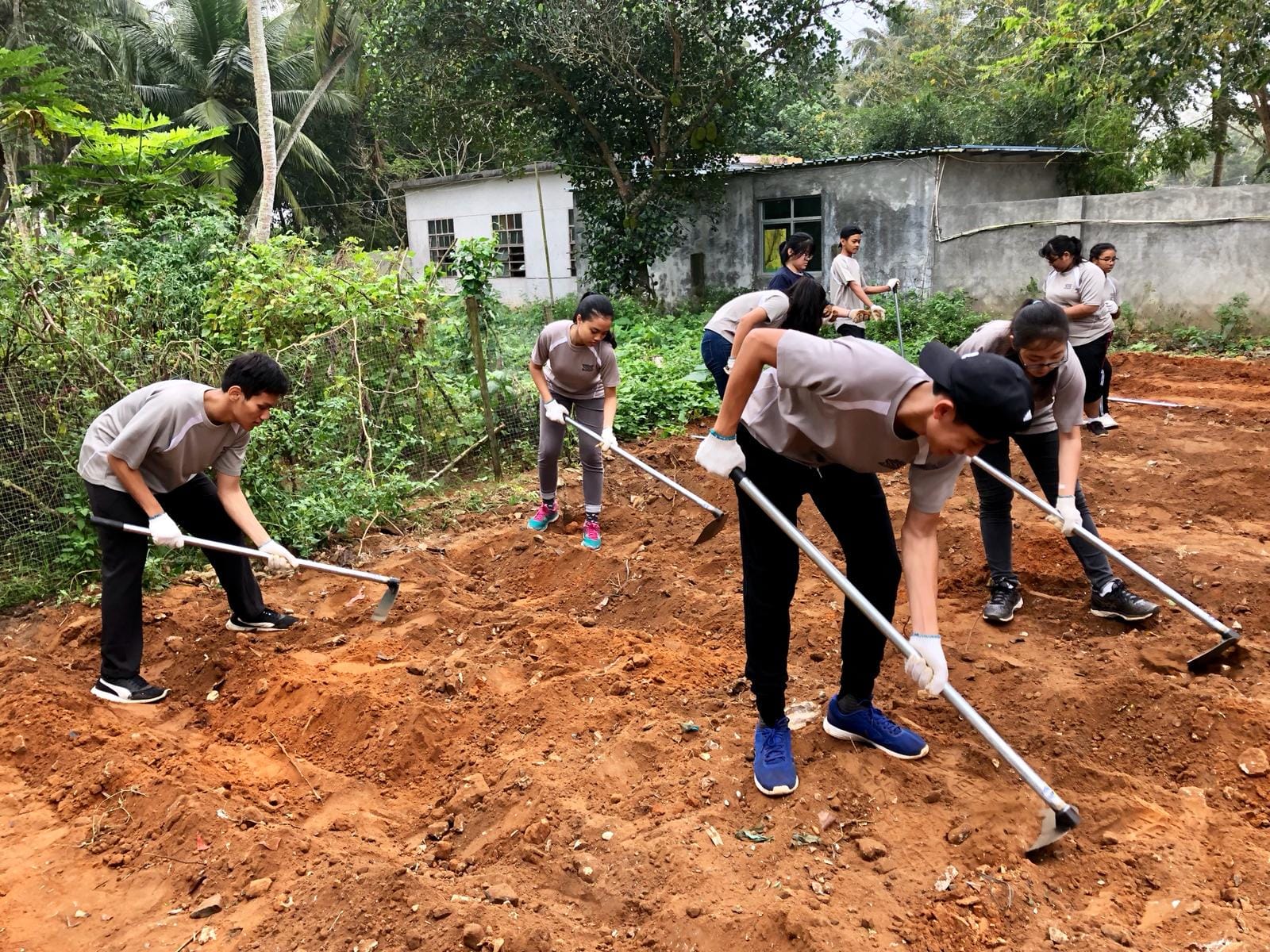 A group of young people in matching grey shirts use hoes to till red soil near a small building surrounded by trees.
