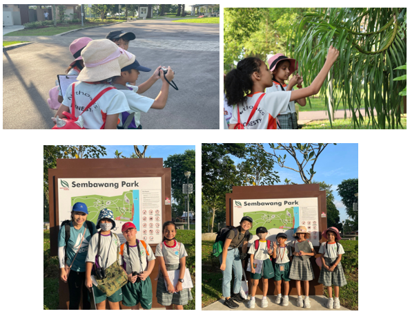Young students in uniforms explore Sembawang Park, taking photos and examining plants during a school field trip.
