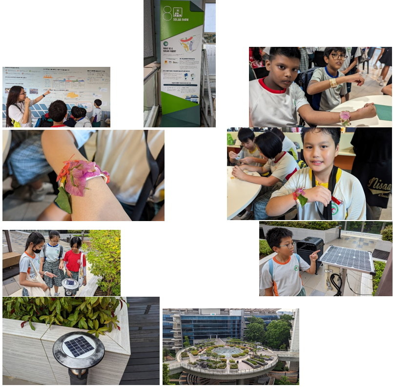 Children on a school field trip learn about solar energy, make leaf bracelets, and explore solar panels outdoors.
