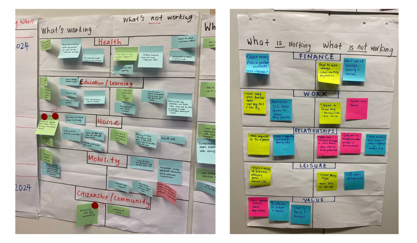 Two paper charts covered with colorful sticky notes organized under categories like Health, Work, and Finance.