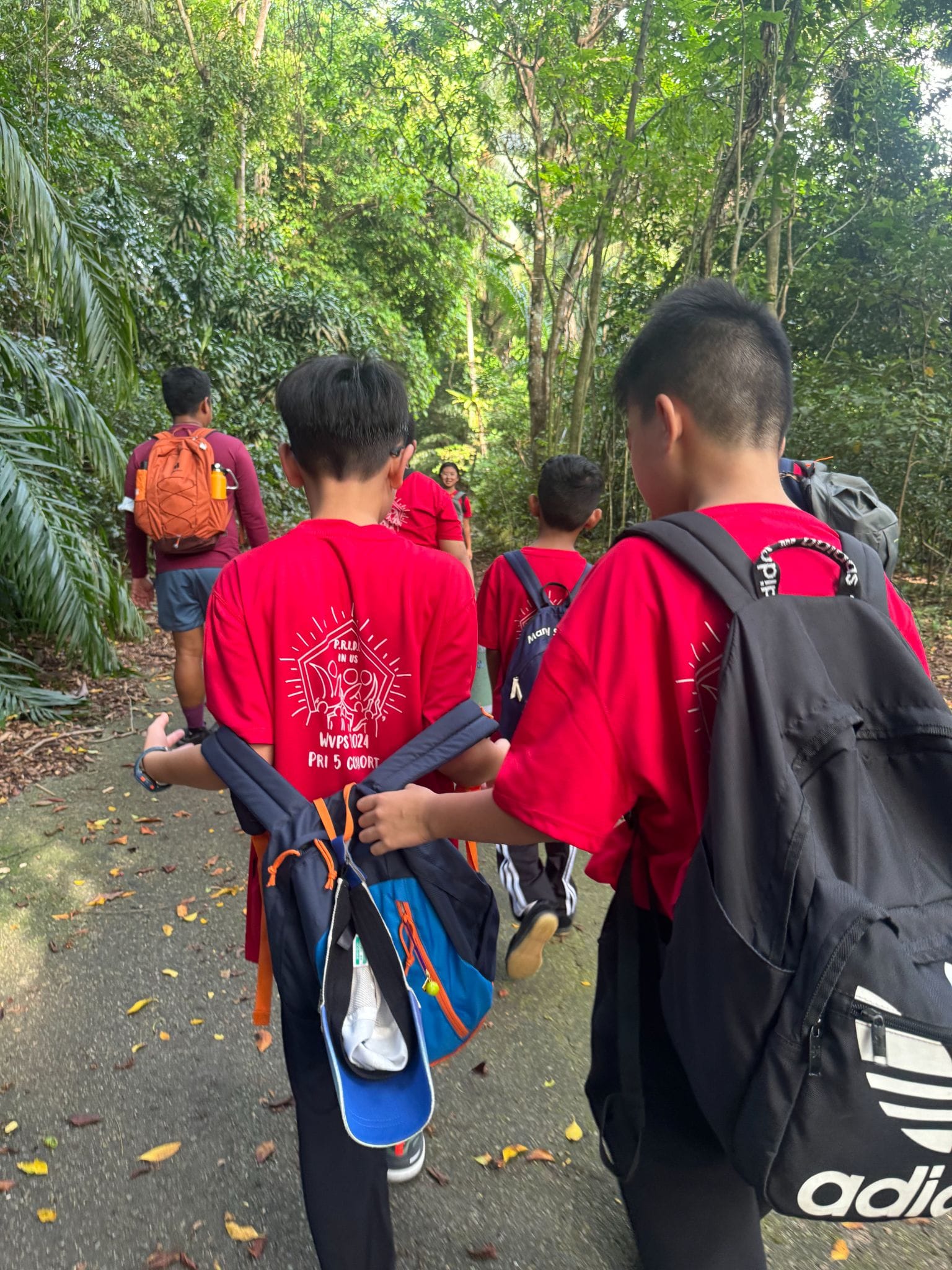A group of children in red school shirts with backpacks walk along a forest path surrounded by green trees.