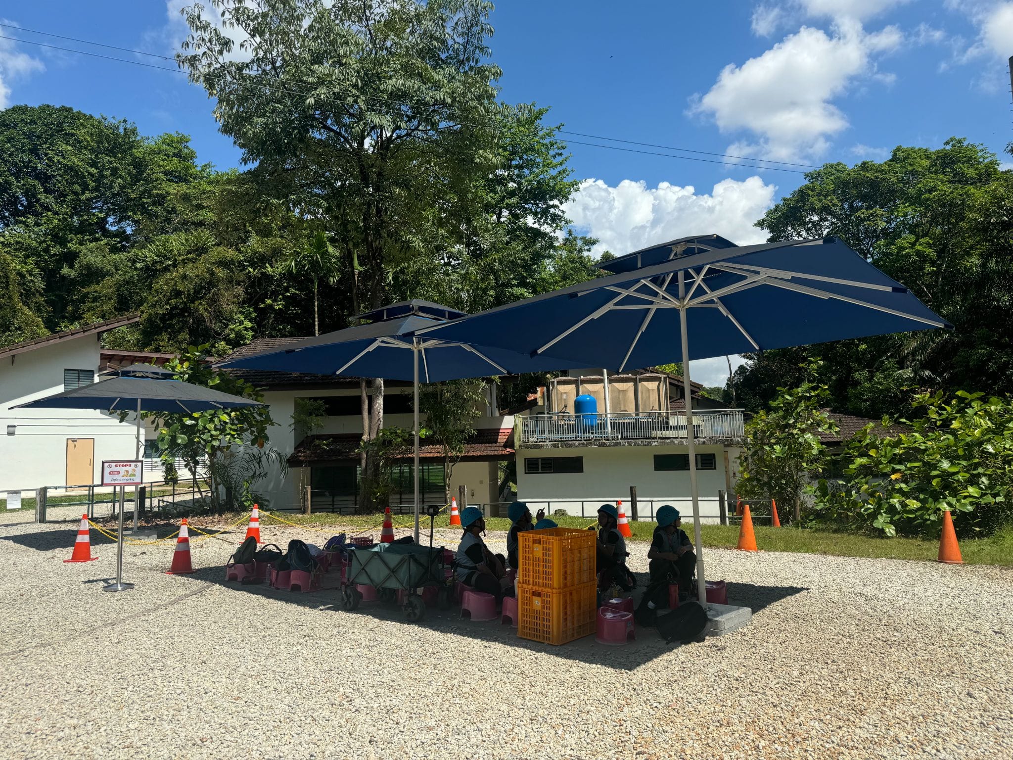 People wearing helmets sit under large blue umbrellas on gravel, surrounded by orange cones and white buildings with trees behind.