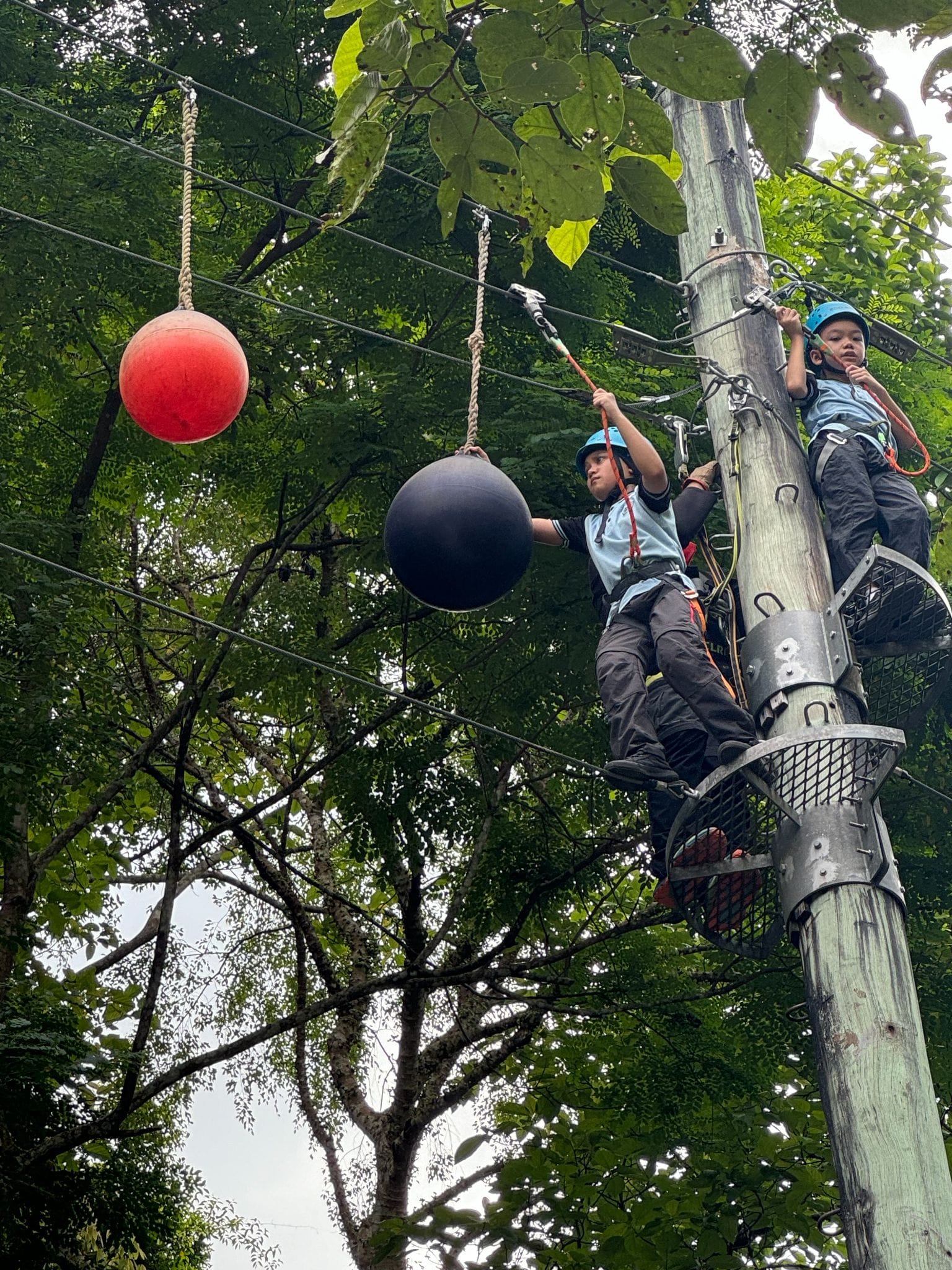 Two children in blue helmets and harnesses stand on a tall pole at a ropes course with hanging ball obstacles.
