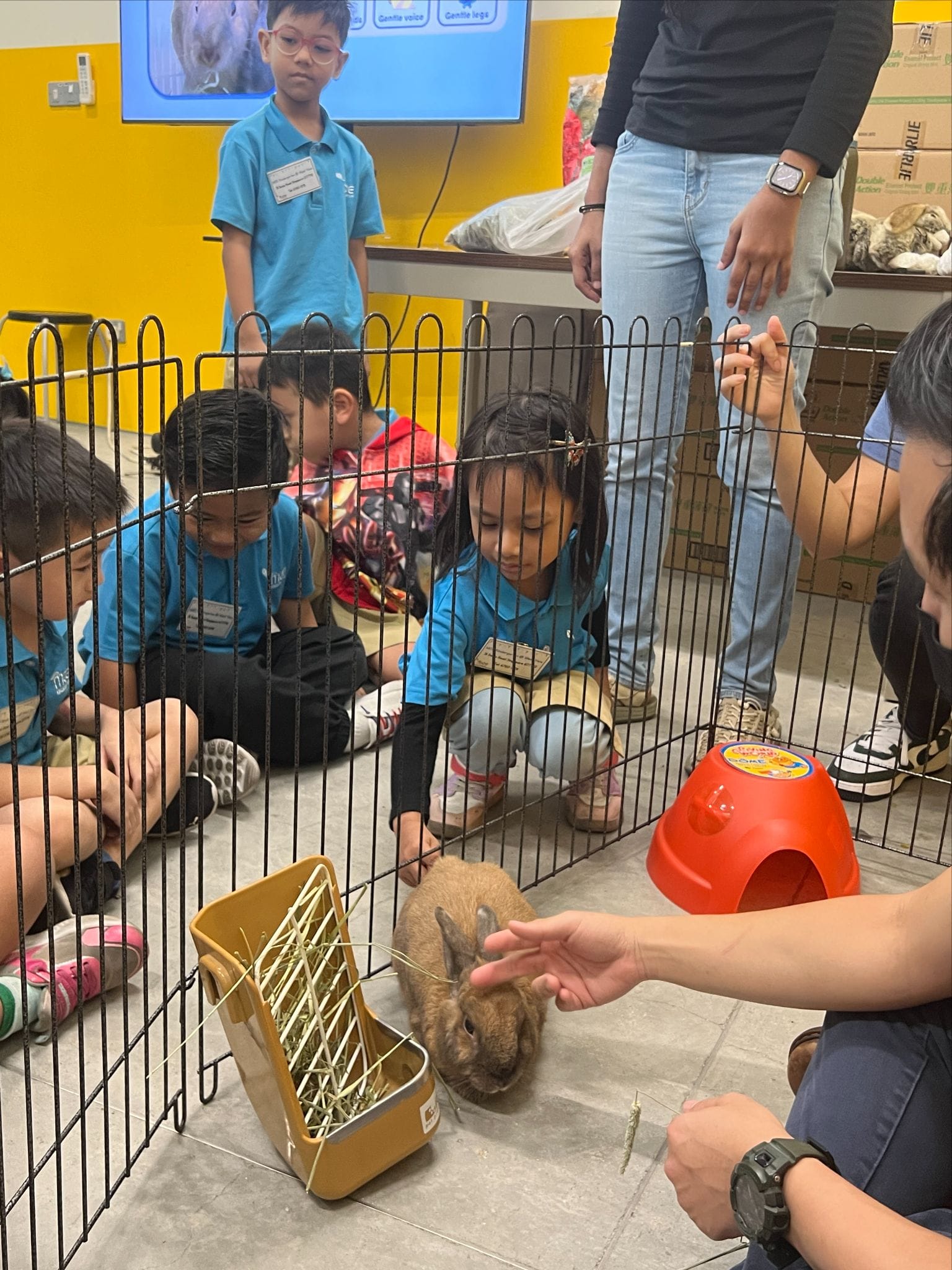 Children in blue shirts sit around a wire pen watching an adult hand-feed a brown rabbit near a hay feeder.