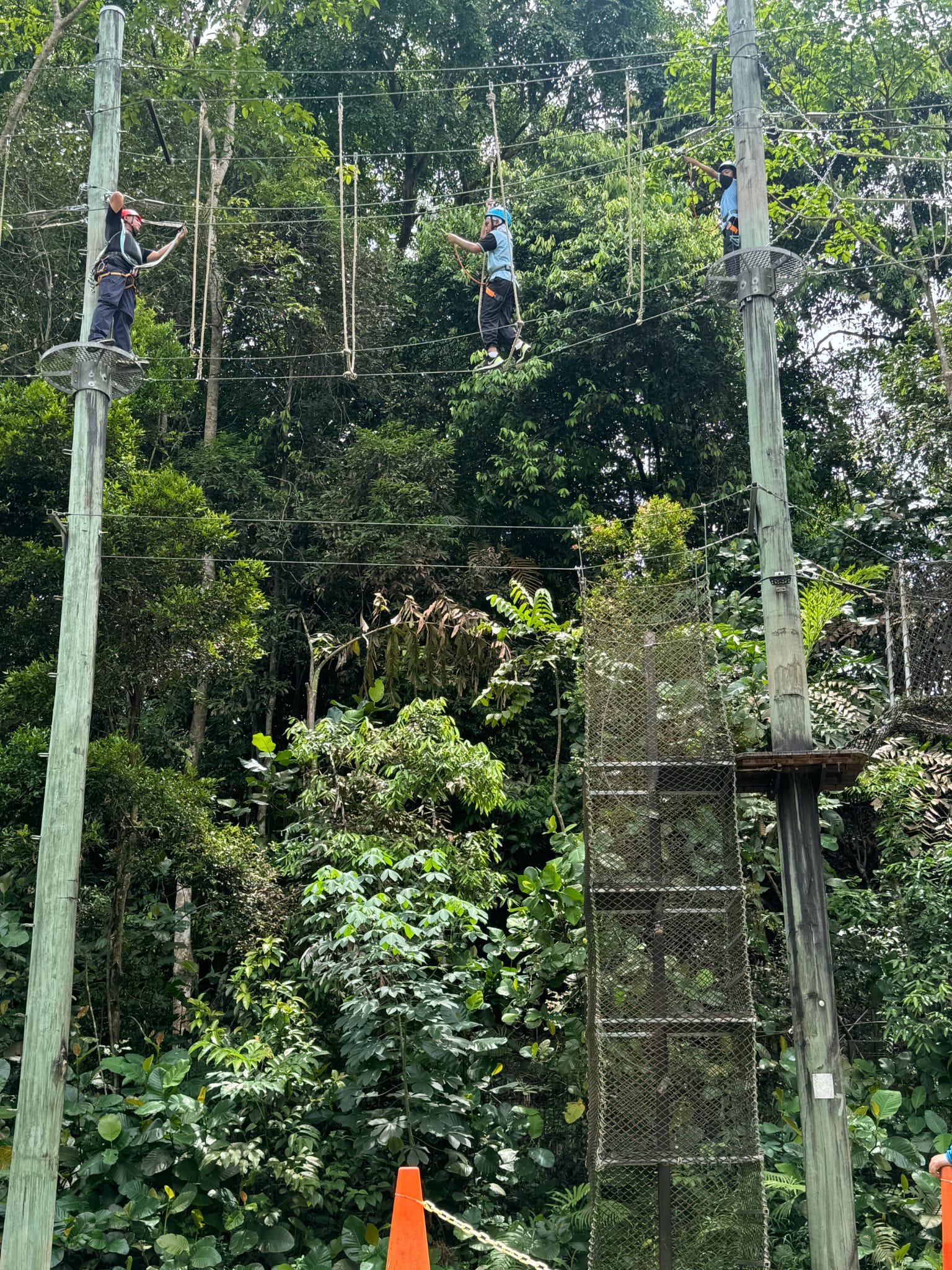 Three people wearing helmets and harnesses navigate a high ropes course on tall poles surrounded by dense green trees.