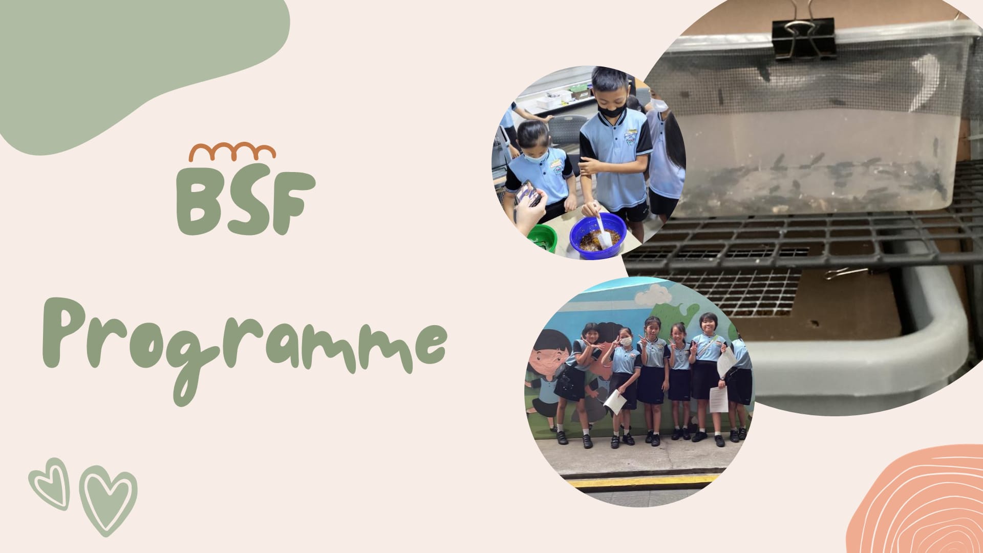A 404 error page from West View Primary School displaying "404" and "Page not found" in centered text.