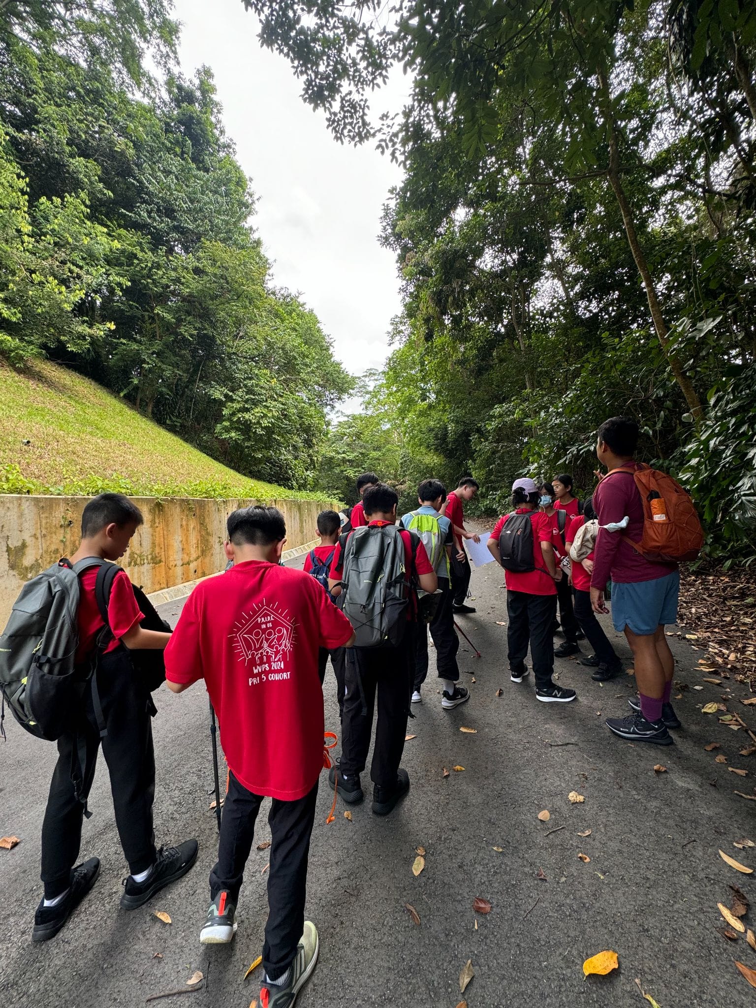 A group of students in red shirts with backpacks gather on a tree-lined road, looking at a map.