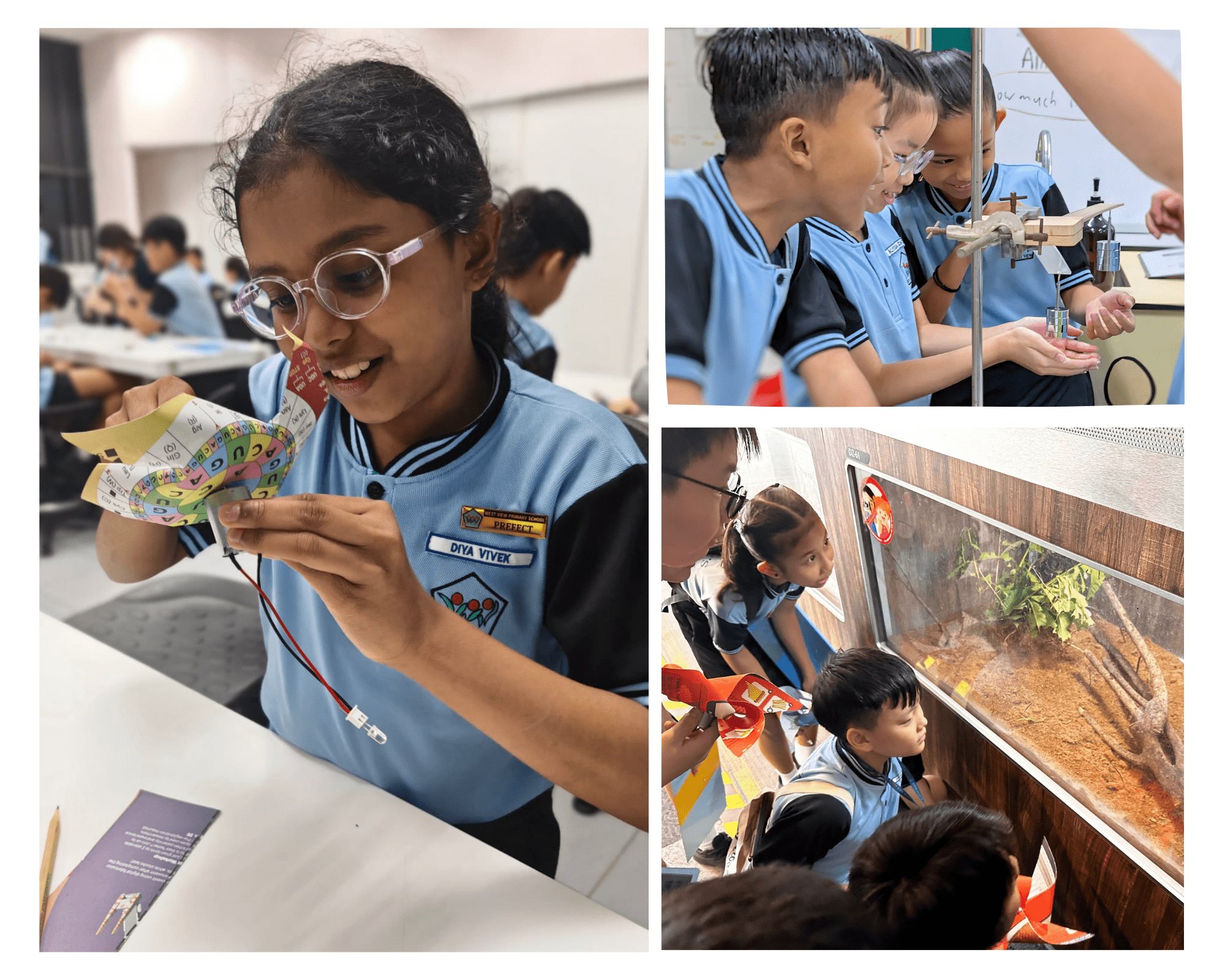 Three scenes of school children in blue uniforms doing science activities including crafts, experiments, and viewing a terrarium.