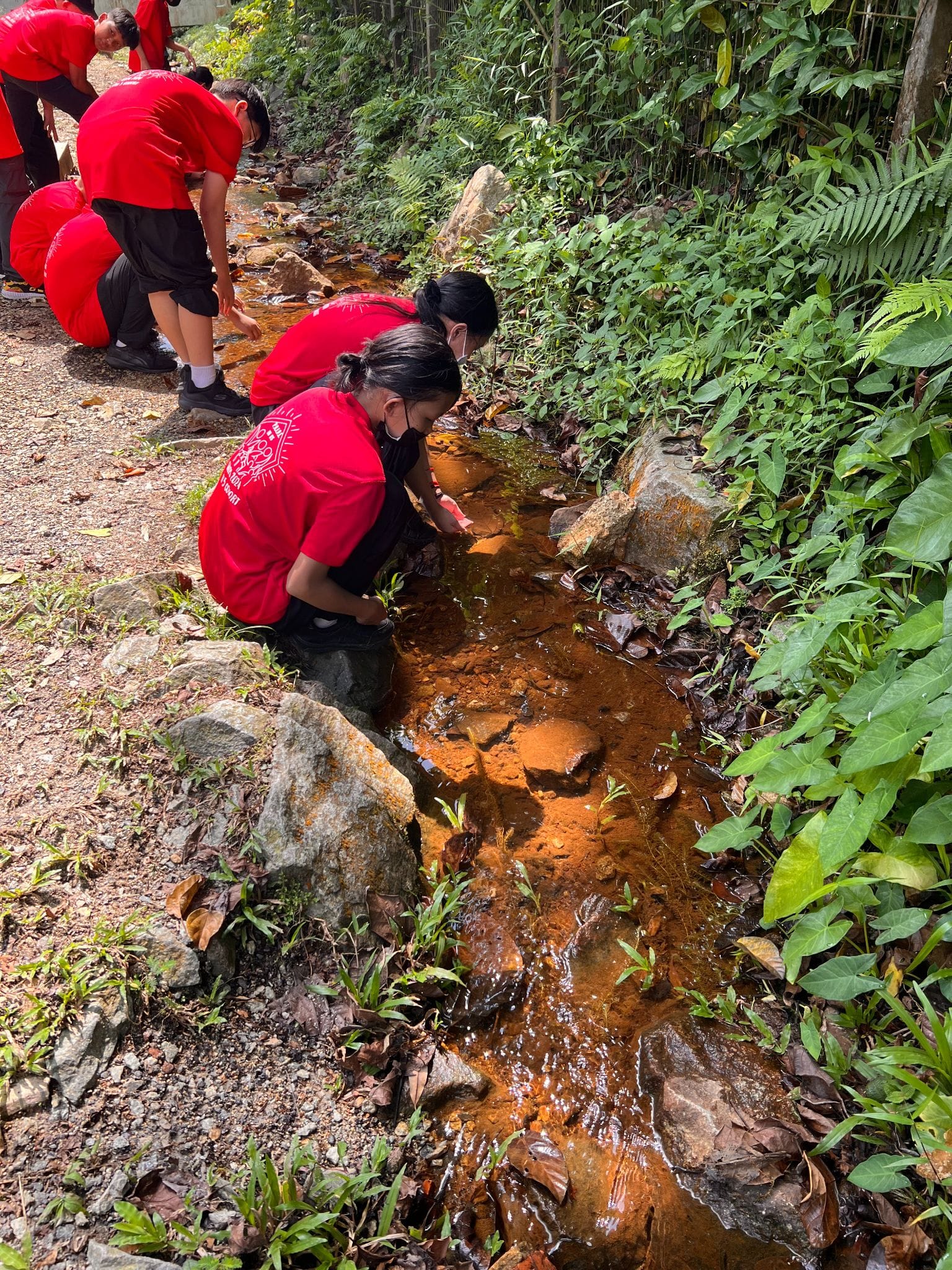 Several people in red shirts kneel beside a narrow rocky stream surrounded by green vegetation.