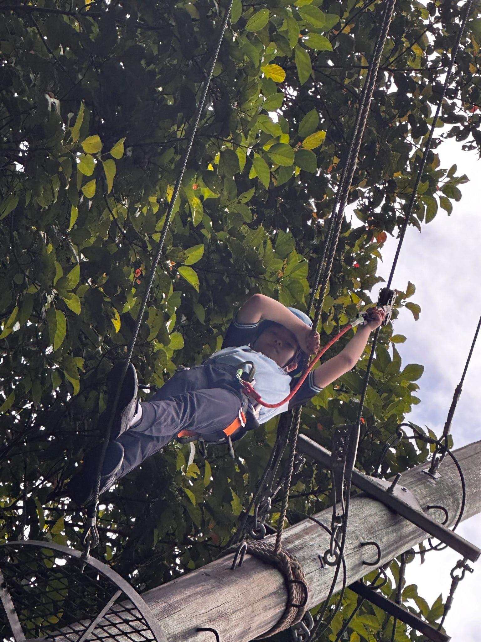 Person wearing a helmet and safety harness navigating a high ropes course among green trees.