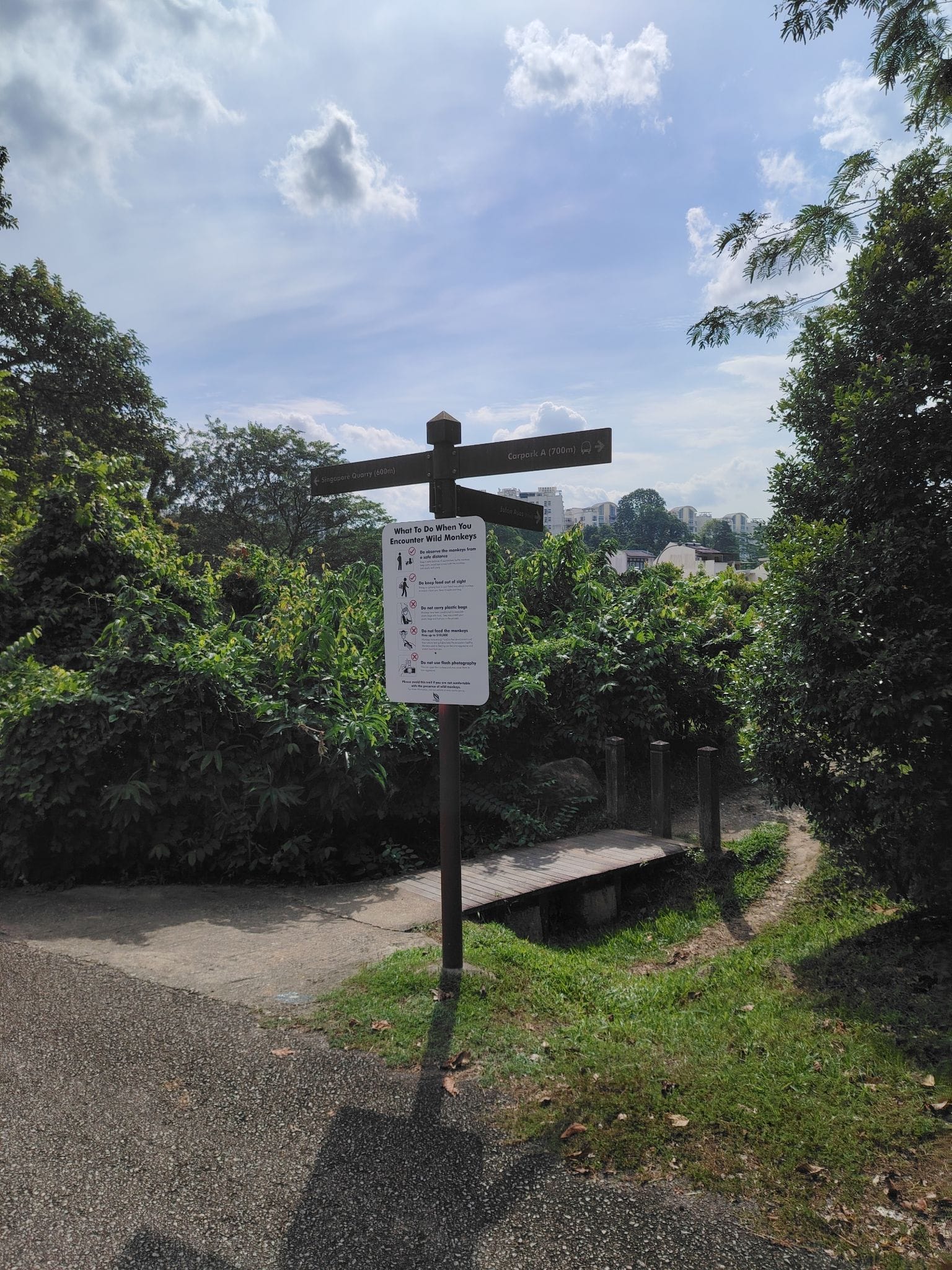 A wooden signpost with directional arrows and a wild monkey encounter notice, set on a park trail with trees.