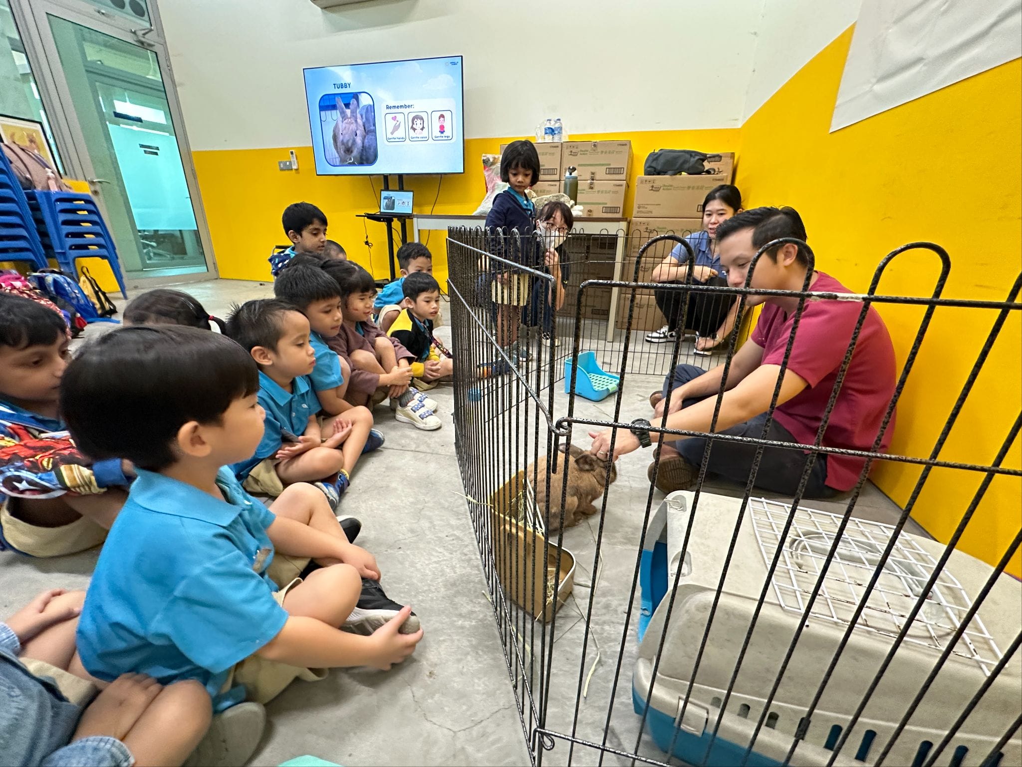 Young children in blue uniforms sit on the floor watching a man interact with a rabbit inside a metal pen.