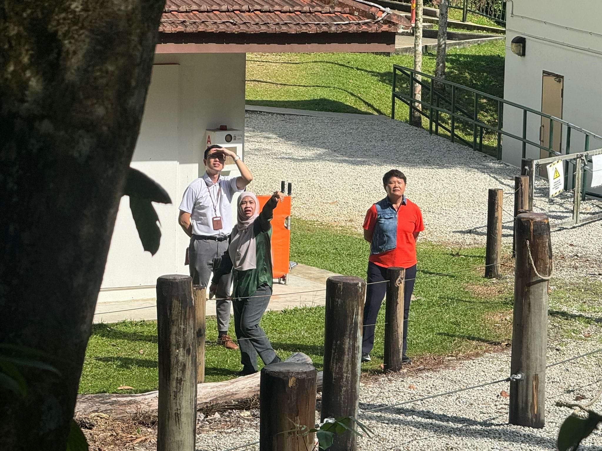 Three people stand outdoors near wooden posts and a white building, one shielding eyes from sun and another pointing upward.