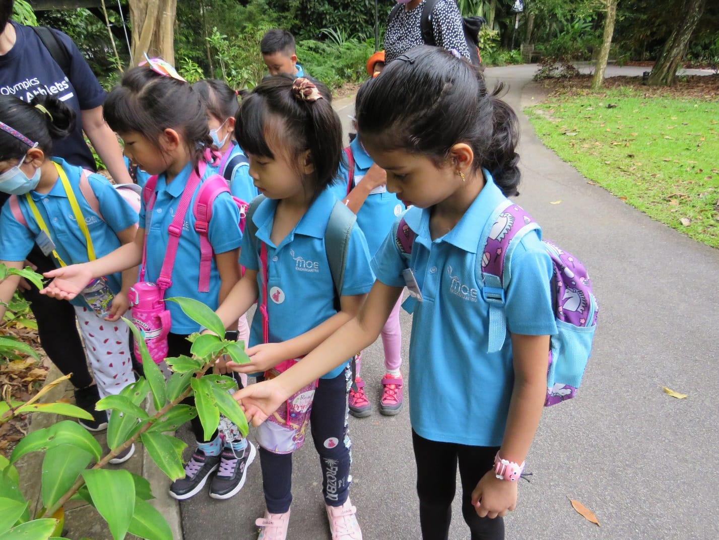 Young children in blue school uniforms with backpacks examine green leaves along a park path surrounded by trees.
