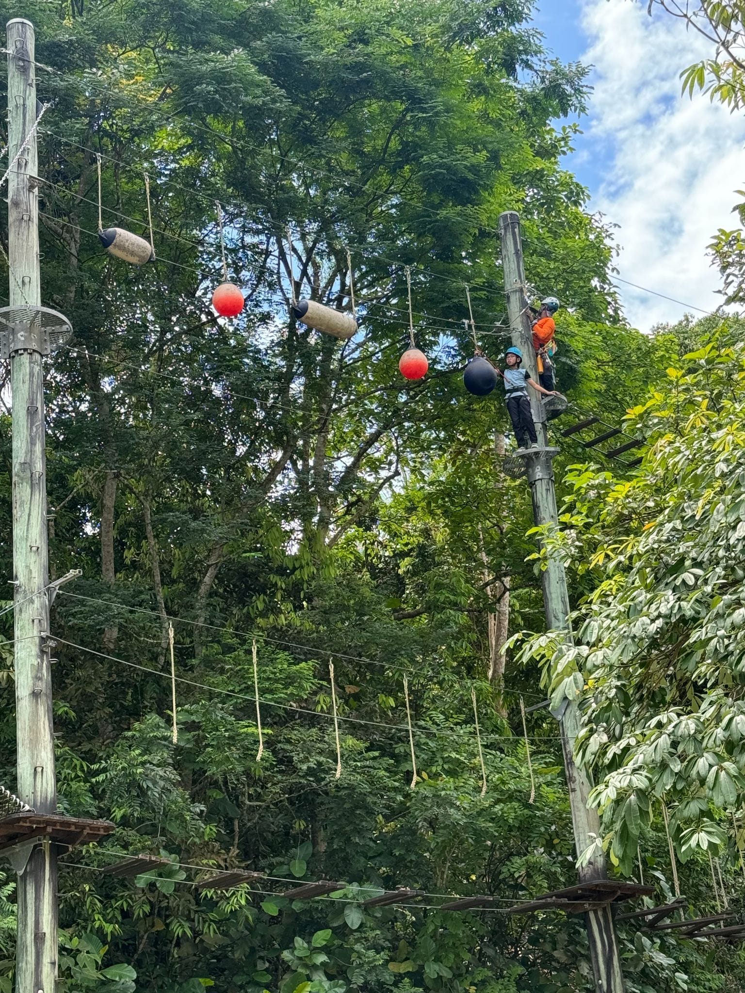 Two people wearing helmets stand atop a tall pole on a high ropes course surrounded by green trees.