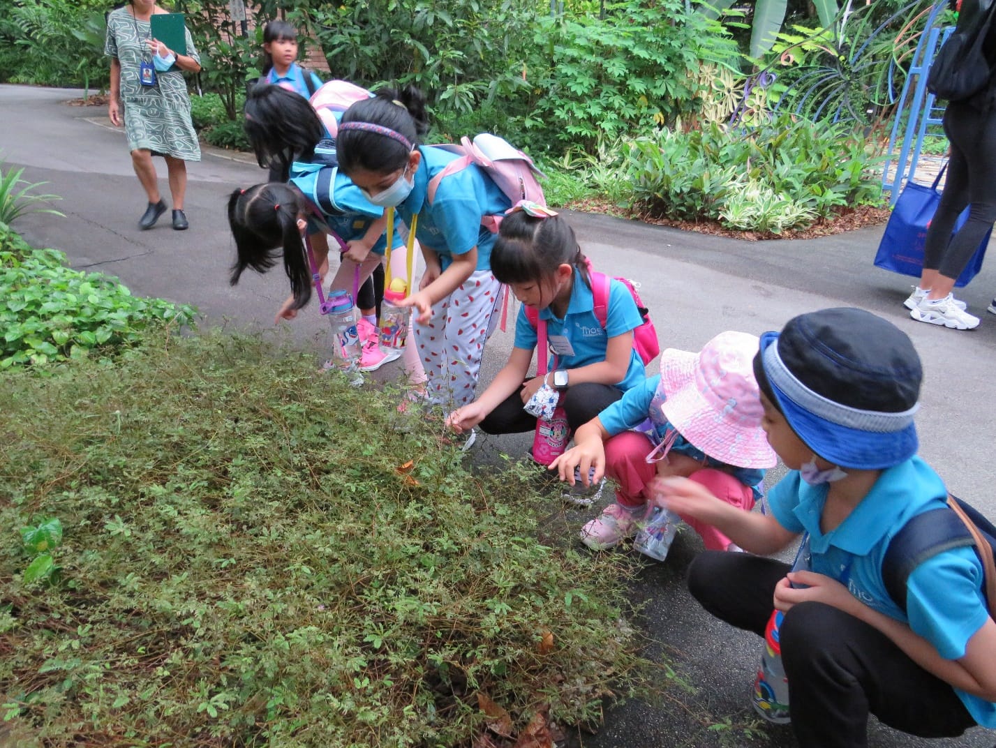 Several young students in blue uniforms crouch down to examine low green plants along a path outdoors.