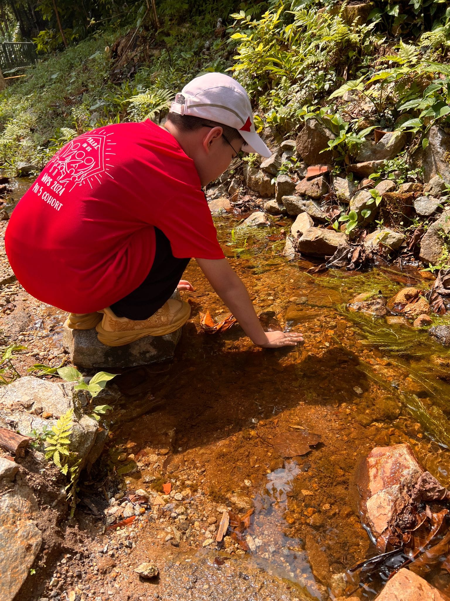 Person in a red shirt and white cap crouching beside a shallow rocky stream in a forested area.