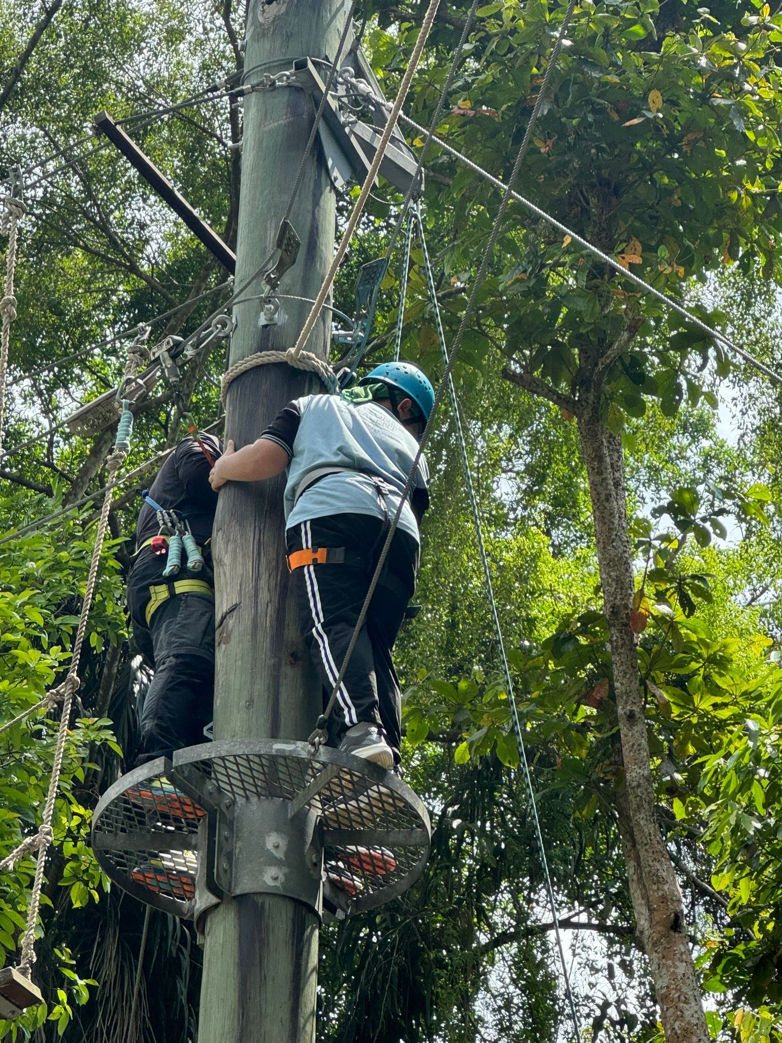 Two people wearing harnesses climb a tall wooden pole on a ropes course surrounded by green trees.