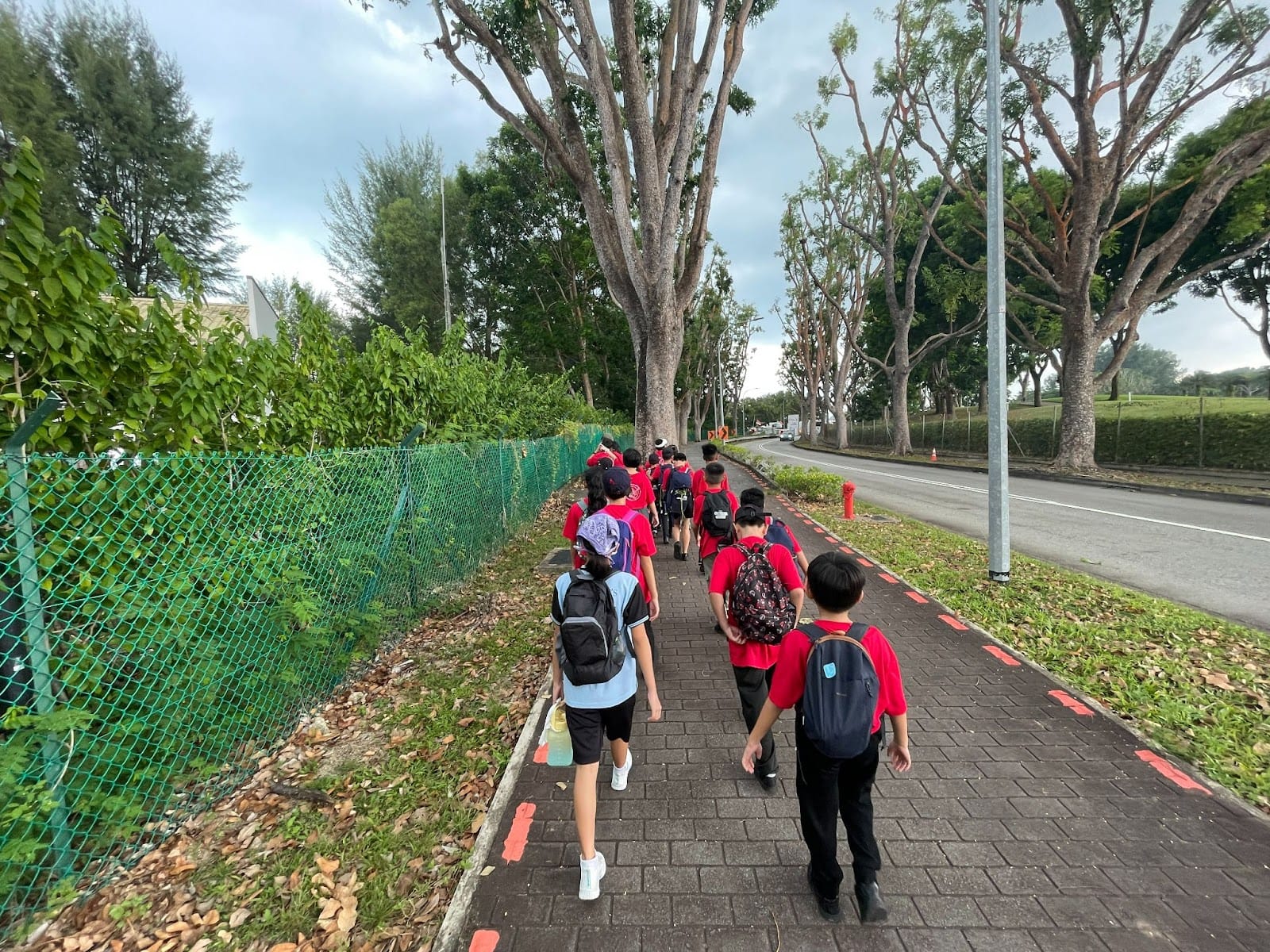 A group of students wearing red uniforms and backpacks walks along a tree-lined brick footpath beside a road.