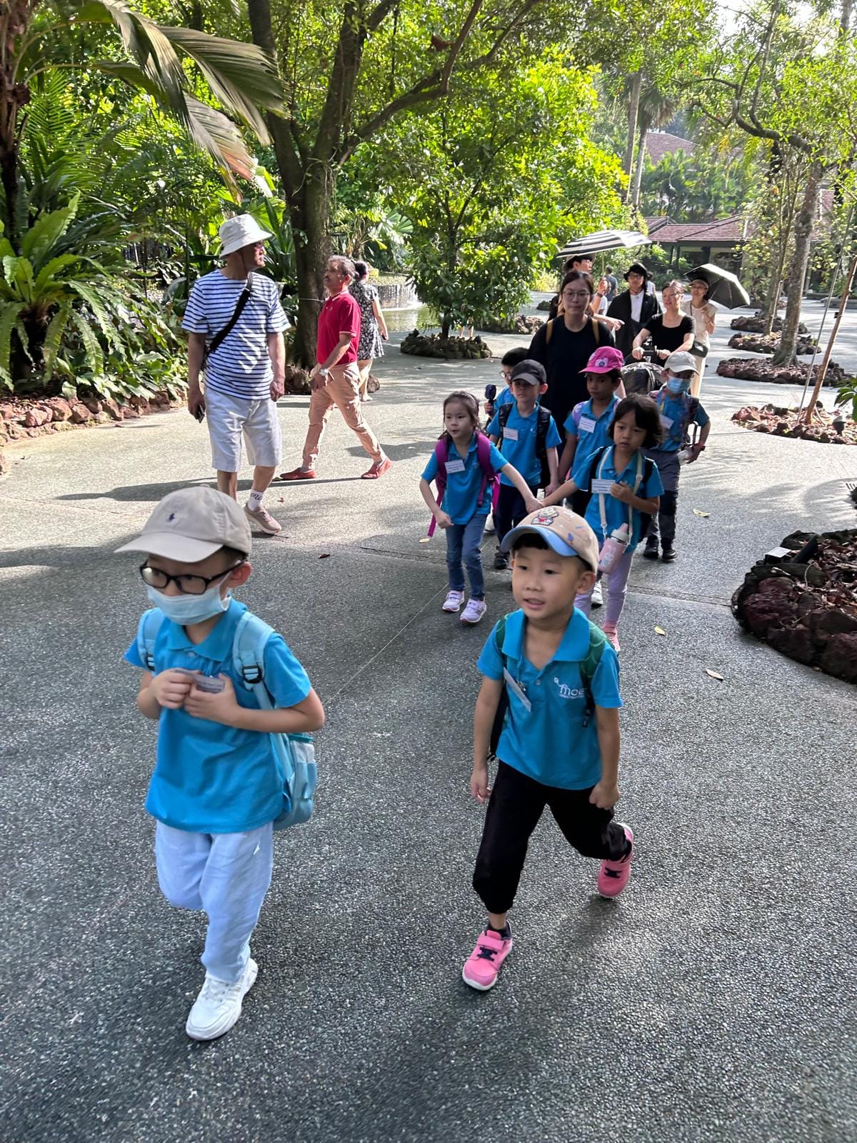 A group of young children in blue uniforms and caps walk along a tree-lined path during an outdoor school trip.