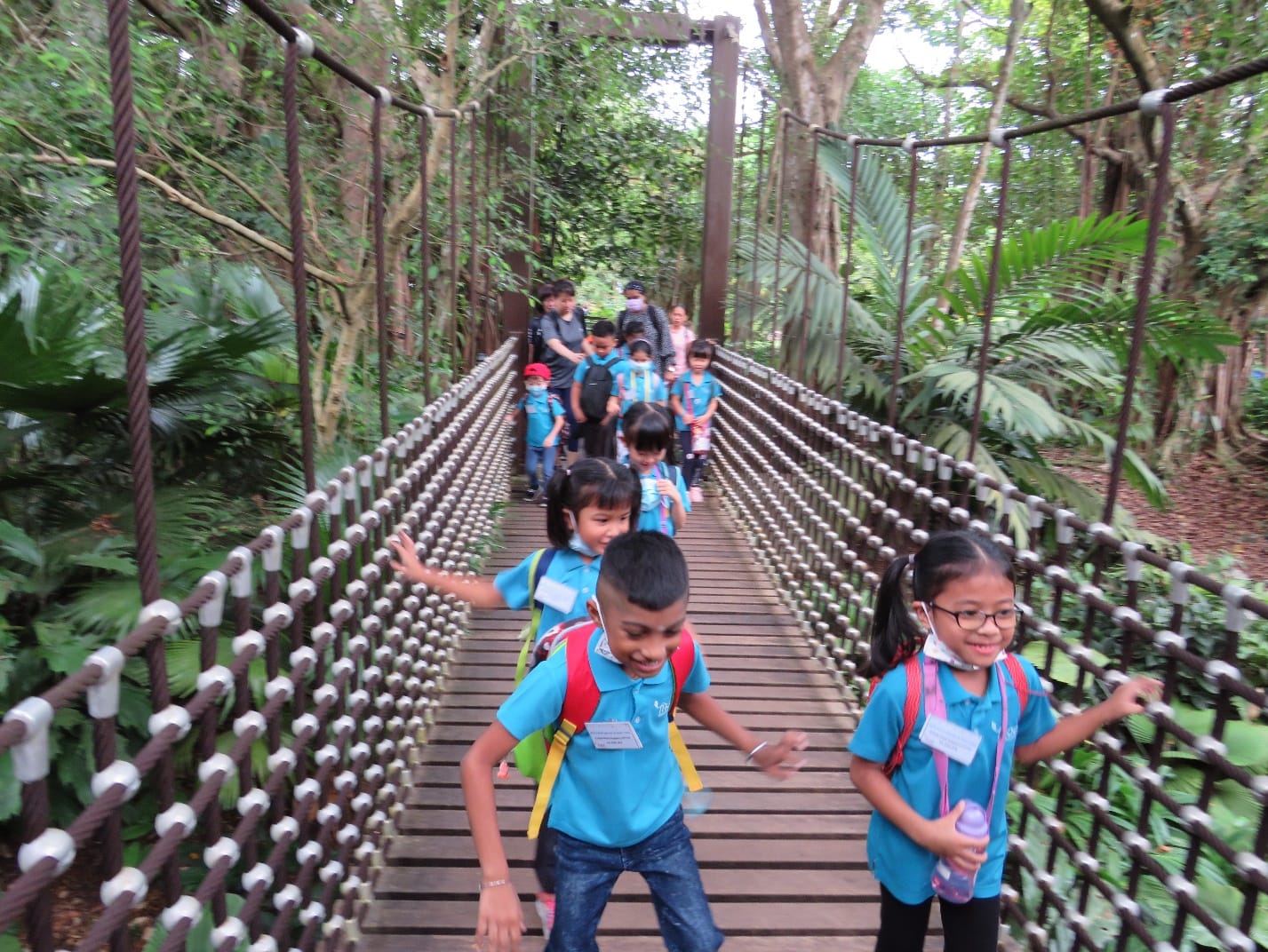 Children in blue shirts with backpacks walk across a wooden suspension bridge surrounded by lush green trees.