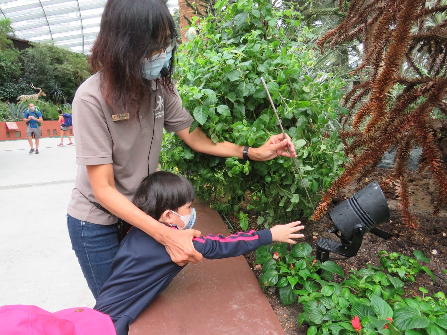 A masked adult guide helps a masked child reach toward plants in a large greenhouse garden.